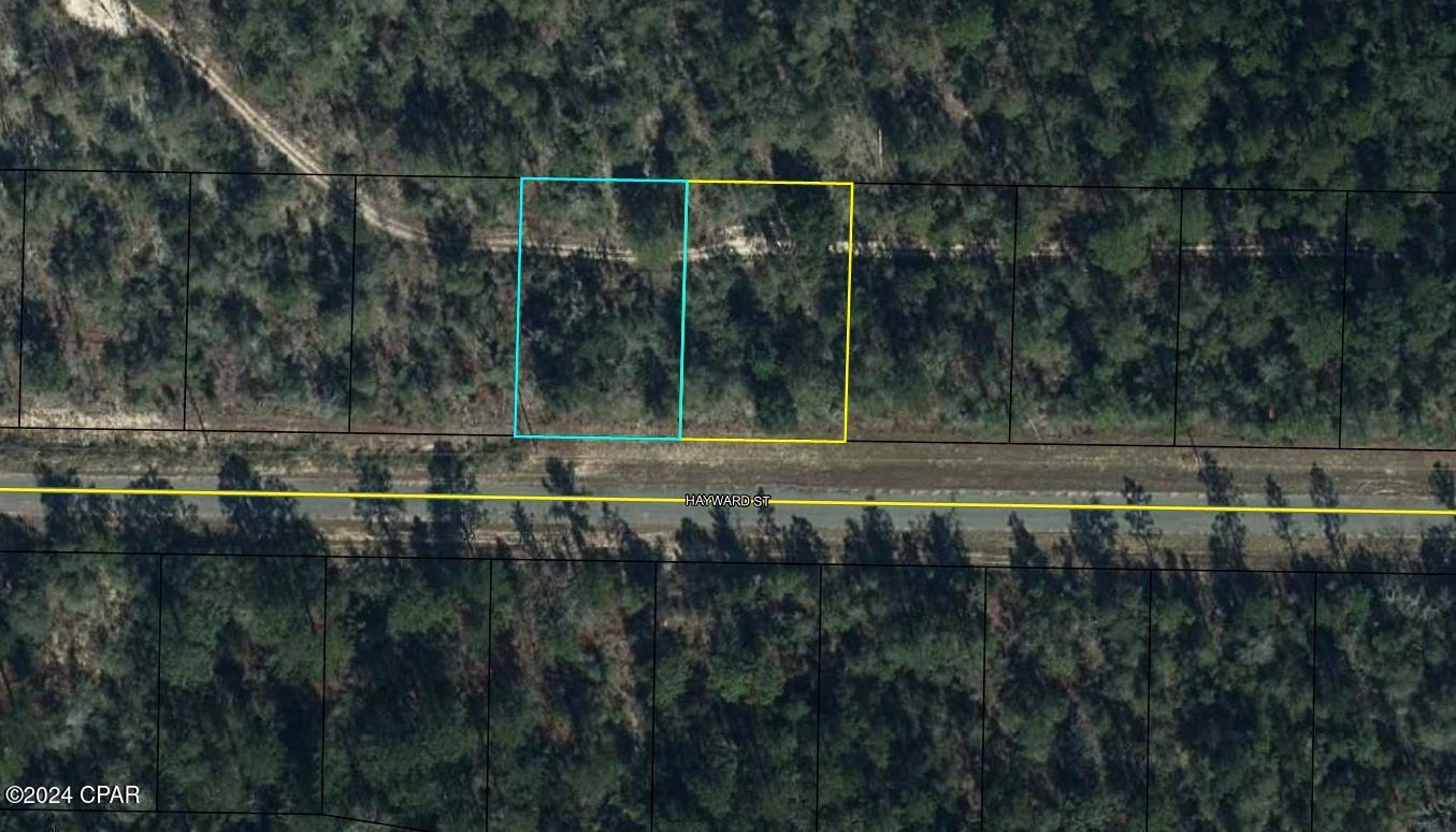 Details for Lots 6 & 7 Hayward Street, Chipley, FL 32428