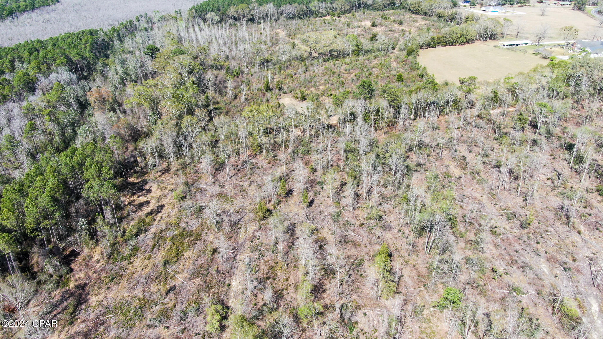 Decon Road, Bonifay, Florida image 8