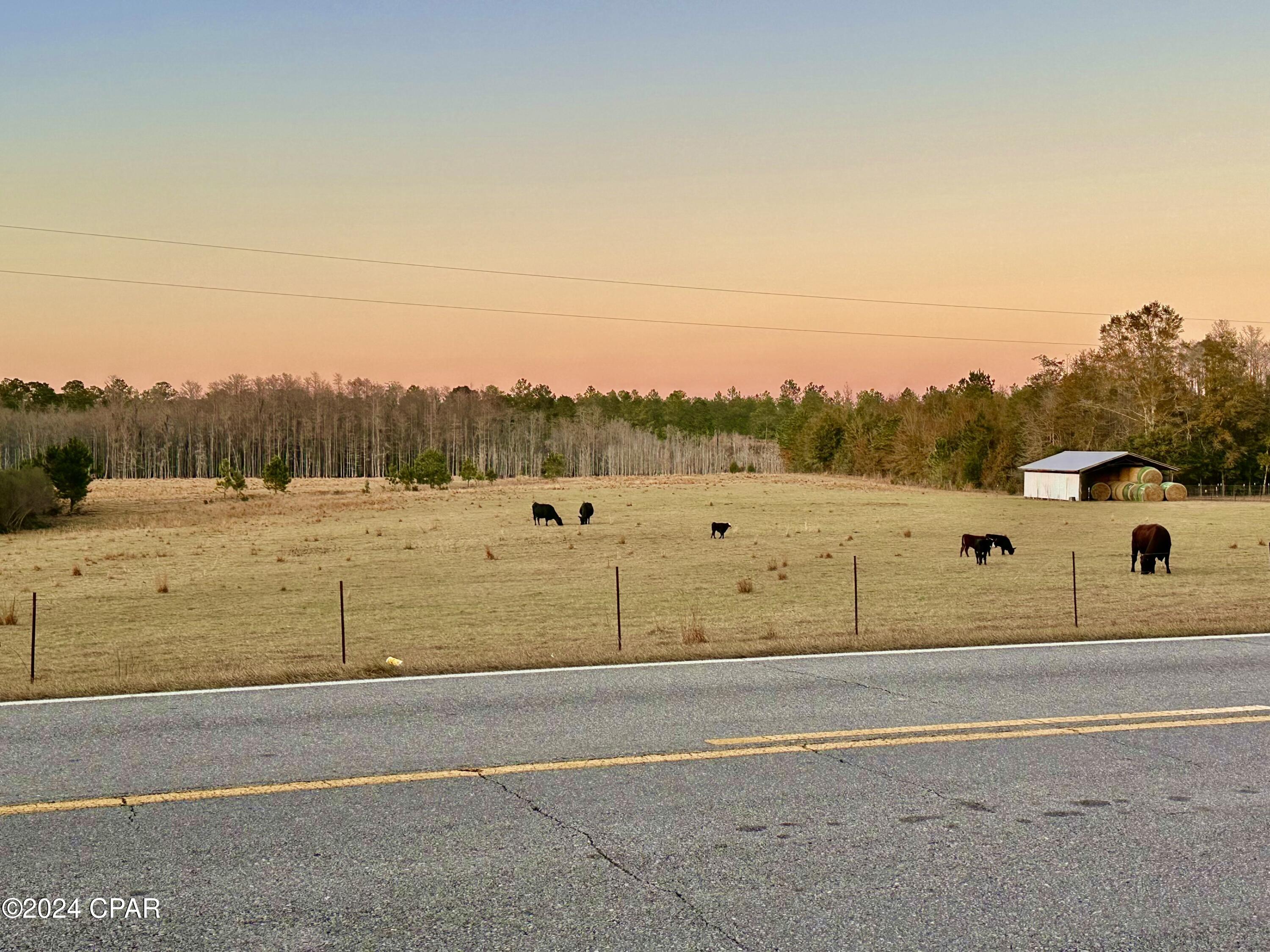 Image 11 For 2359 Pioneer Road