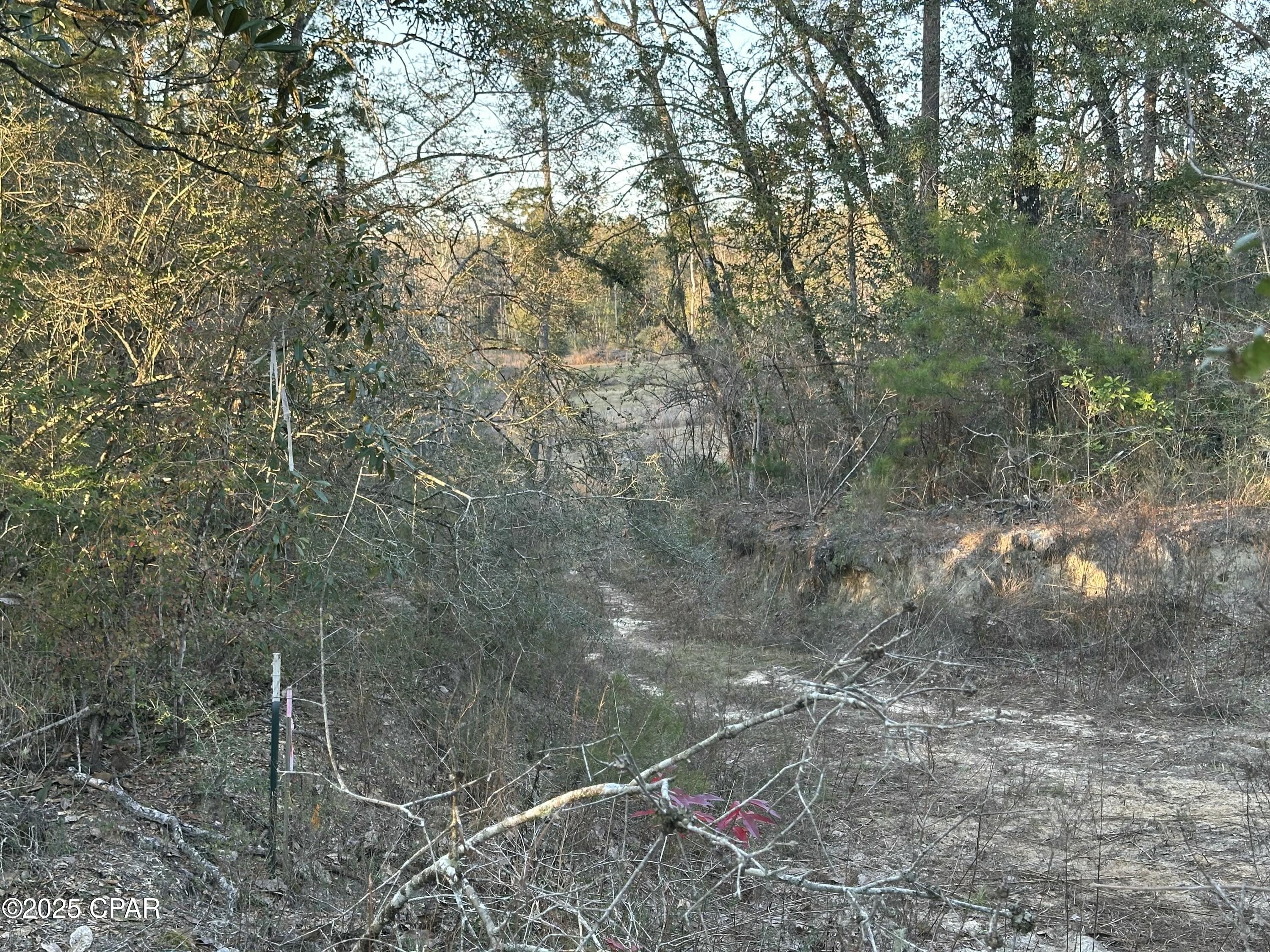 0000 Strickland Road, Ebro, Florida image 16