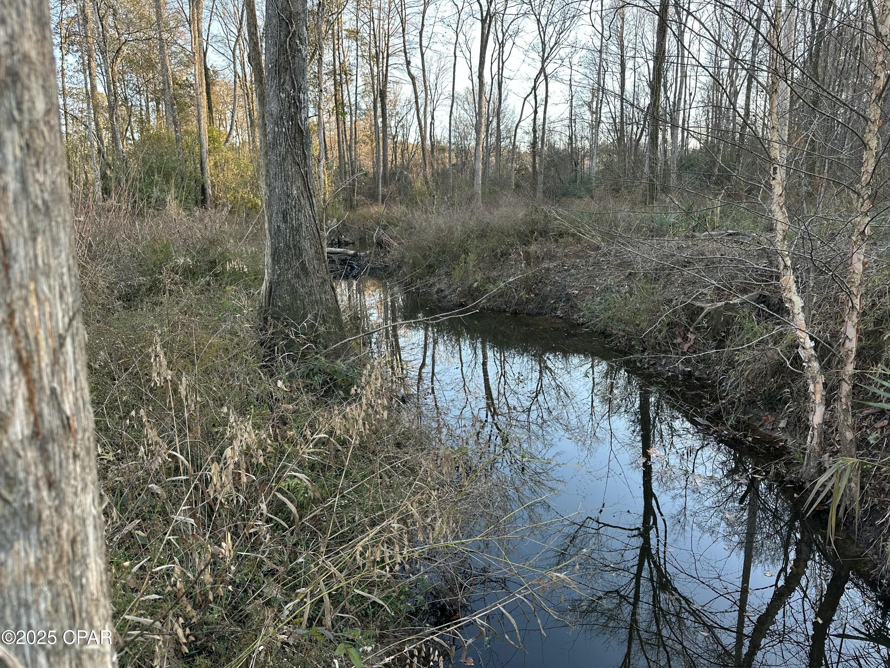 0000 Strickland Road, Ebro, Florida image 18