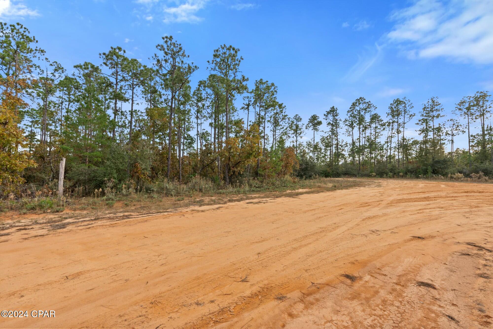 Orange Peel, Marianna, Florida image 19