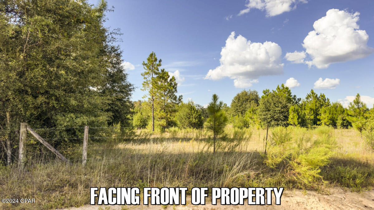 Listing photo id 14 for 0 Neals Landing Road
