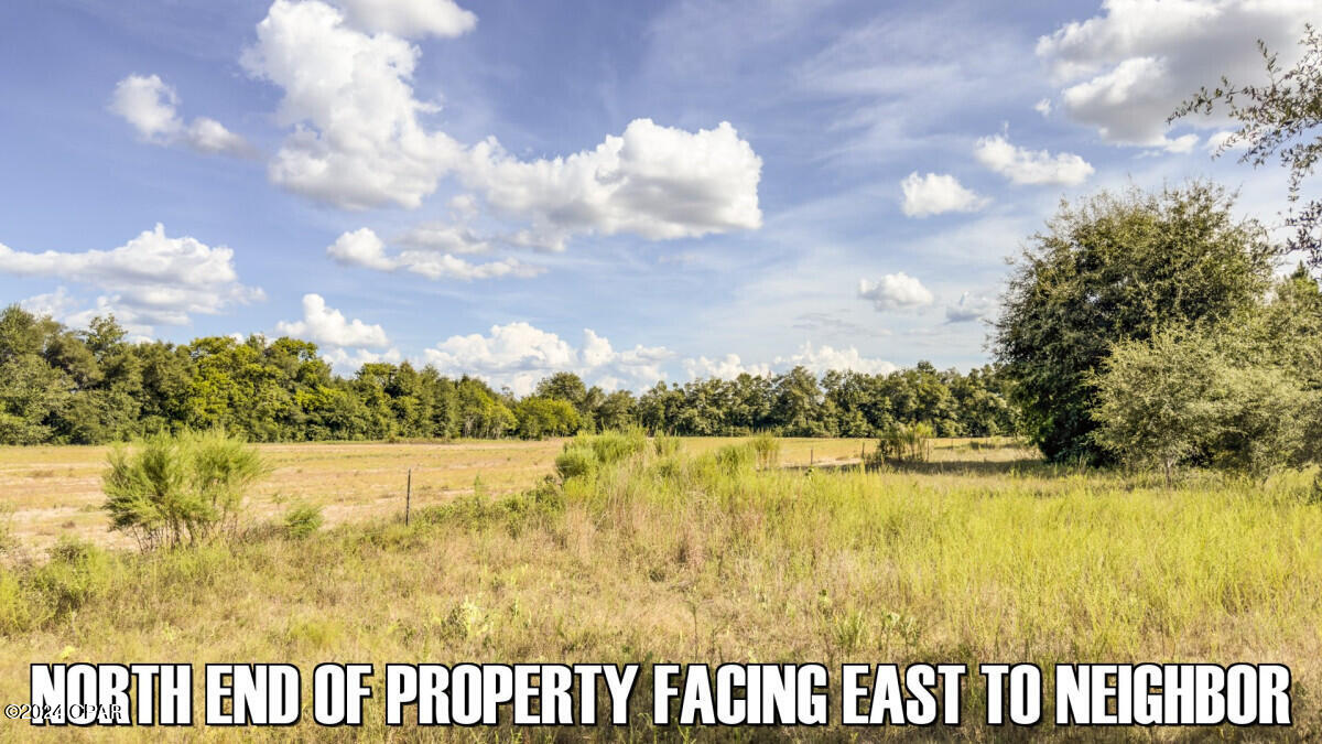 Listing photo id 9 for 0 Neals Landing Road