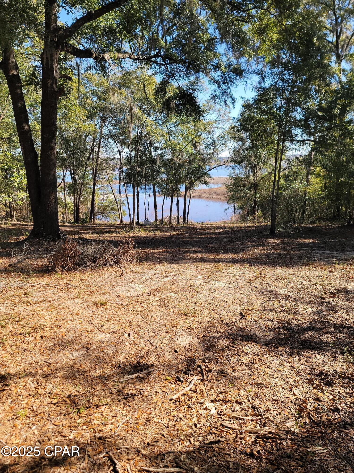 Image 3 For Lot 19 Hicks Lake Lane