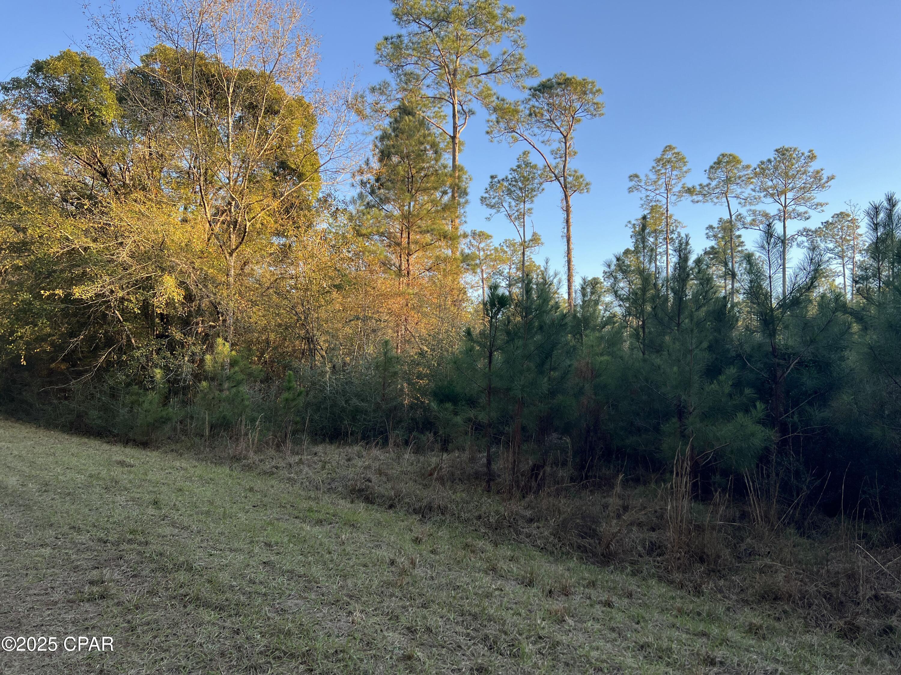 TBD Post Oak Lane, Bonifay, Florida image 11