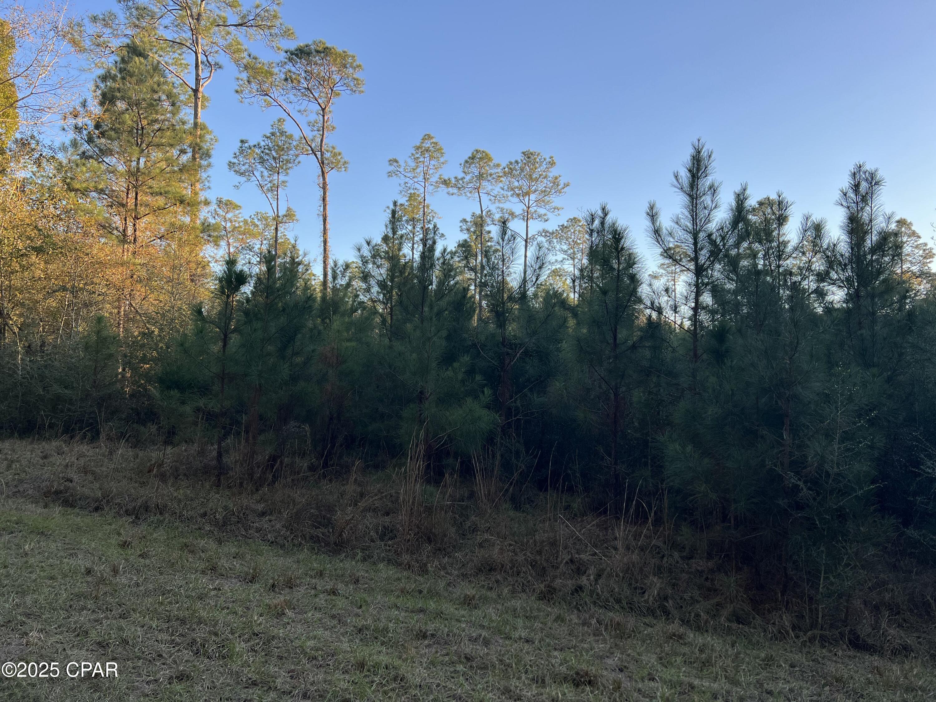 TBD Post Oak Lane, Bonifay, Florida image 12