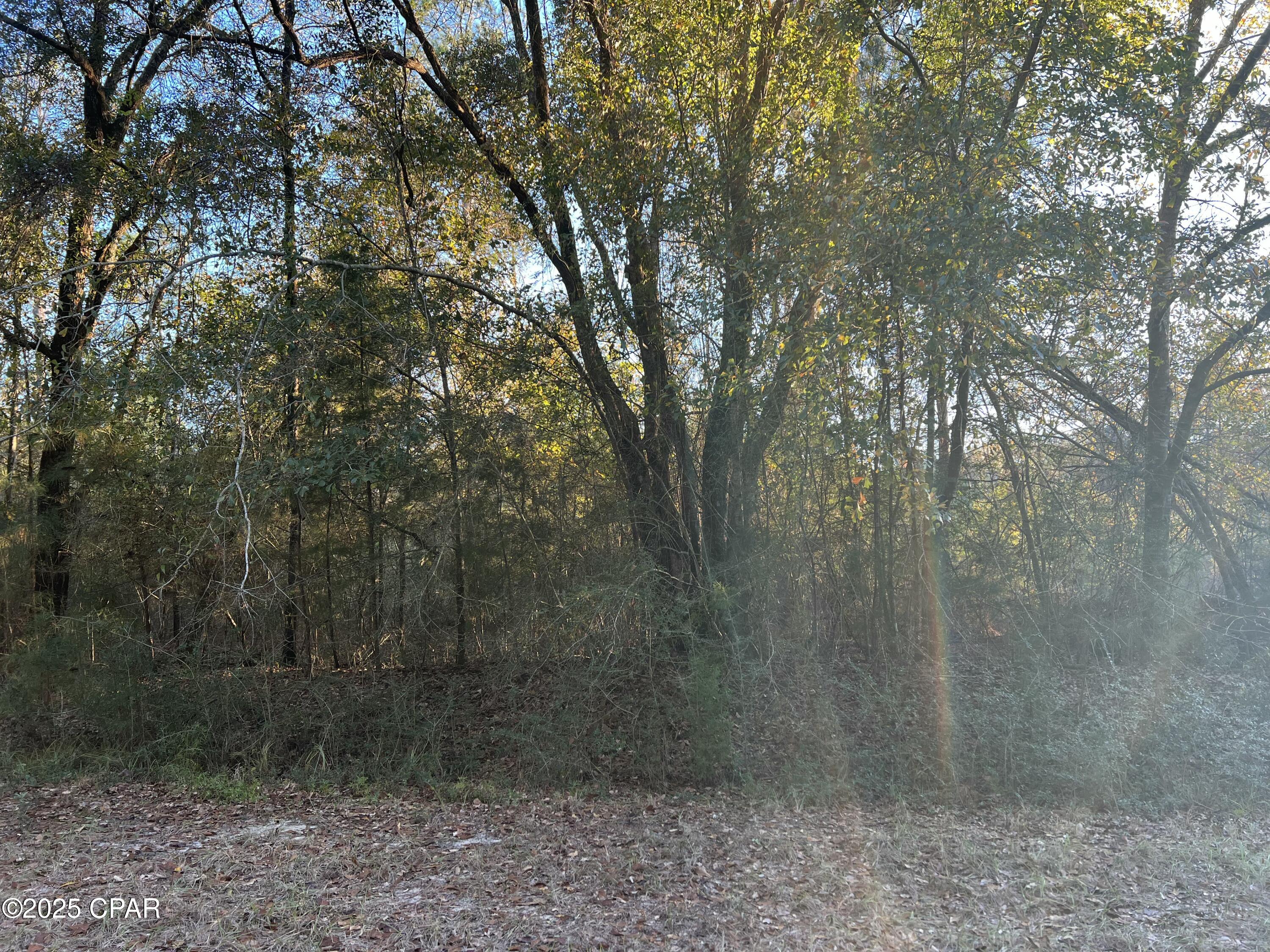 TBD Post Oak Lane, Bonifay, Florida image 7