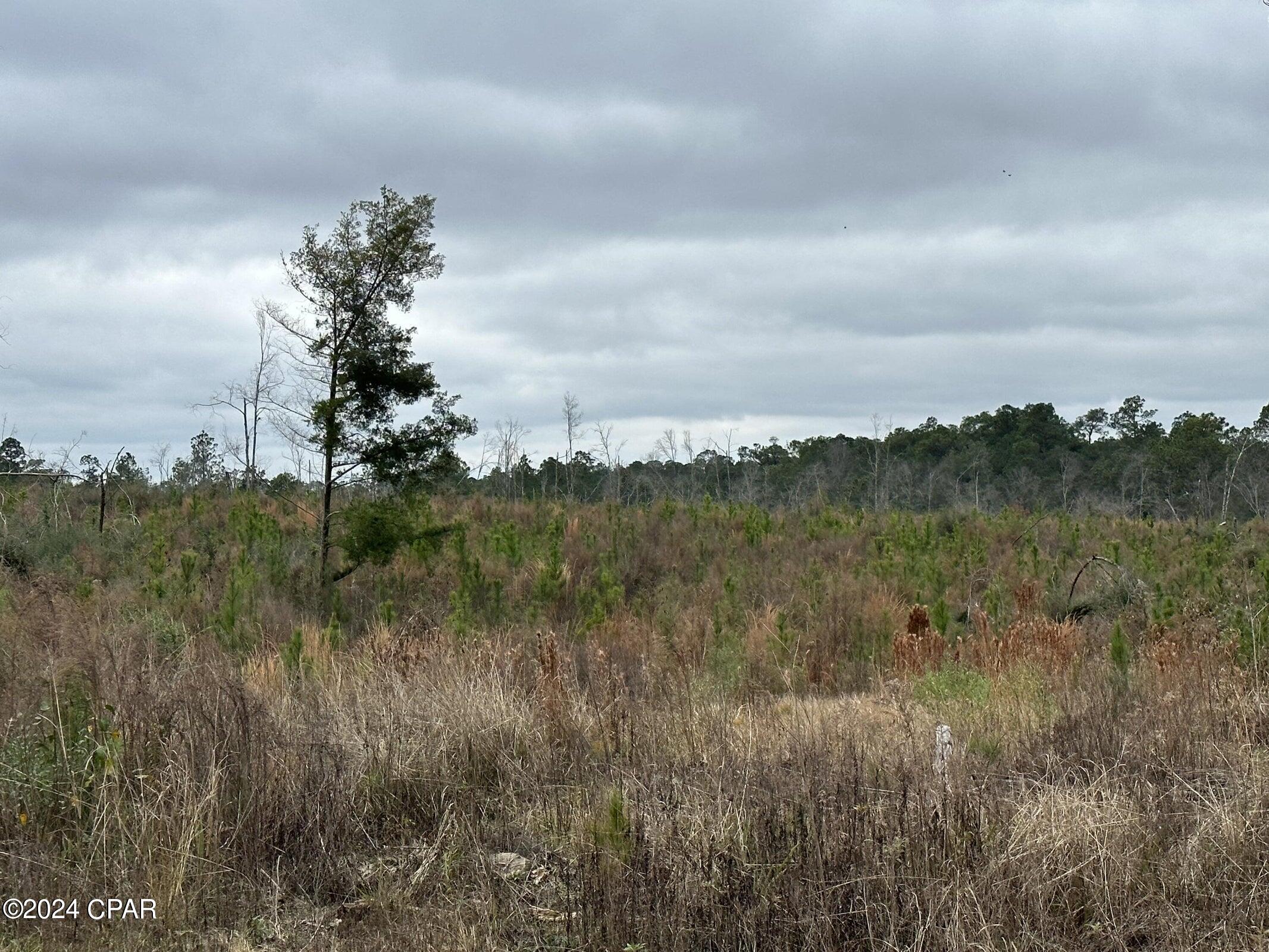 Photo of Tract#6337 Decon Road Bonifay FL 32425