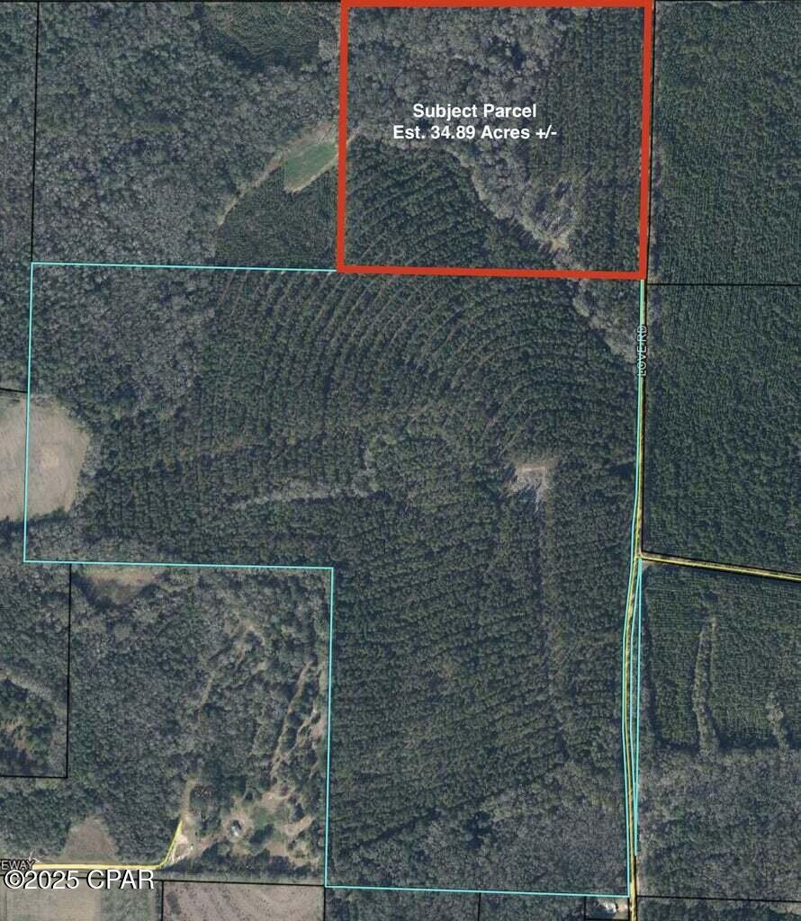 Tract#6301 W Love Road, Bonifay, Florida image 1