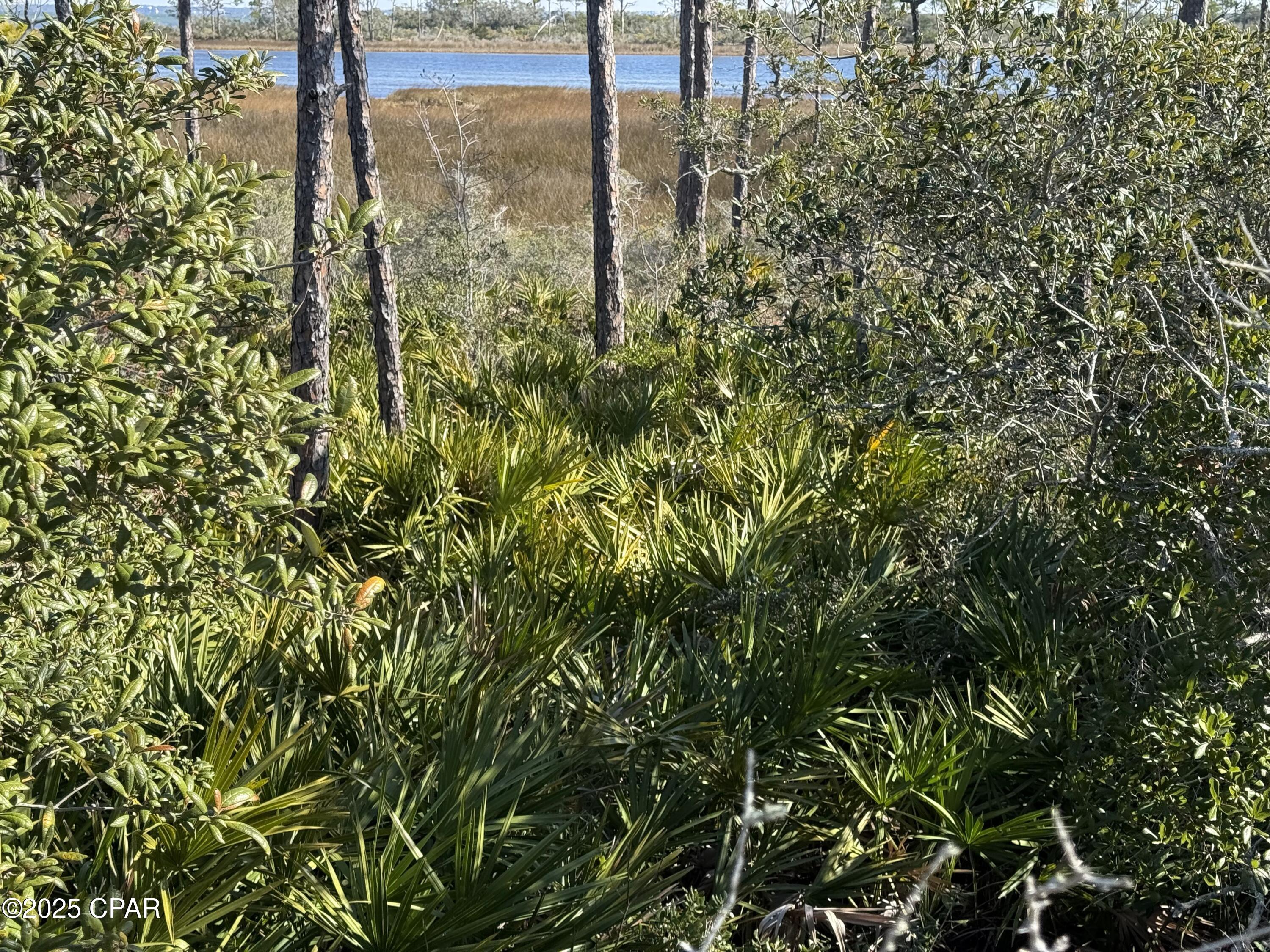 Image 11 For Tbd Cape San Blas Road