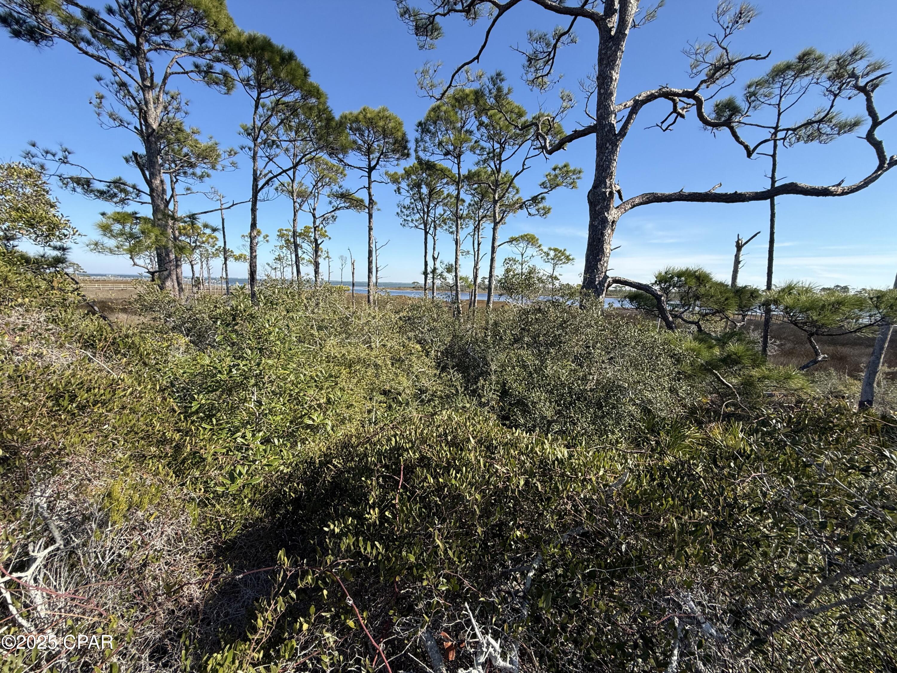 Image 14 For Tbd Cape San Blas Road