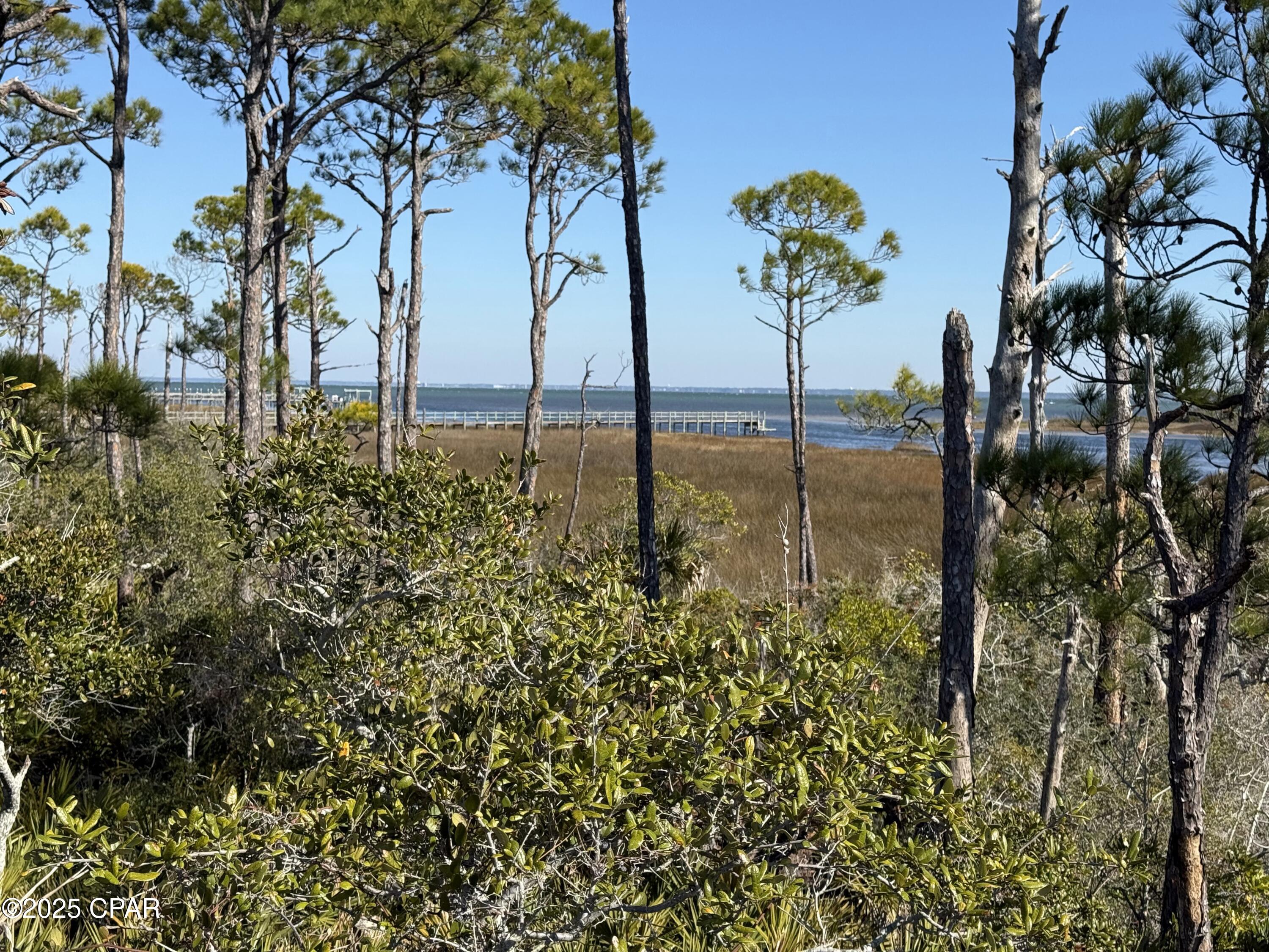 Image 6 For Tbd Cape San Blas Road