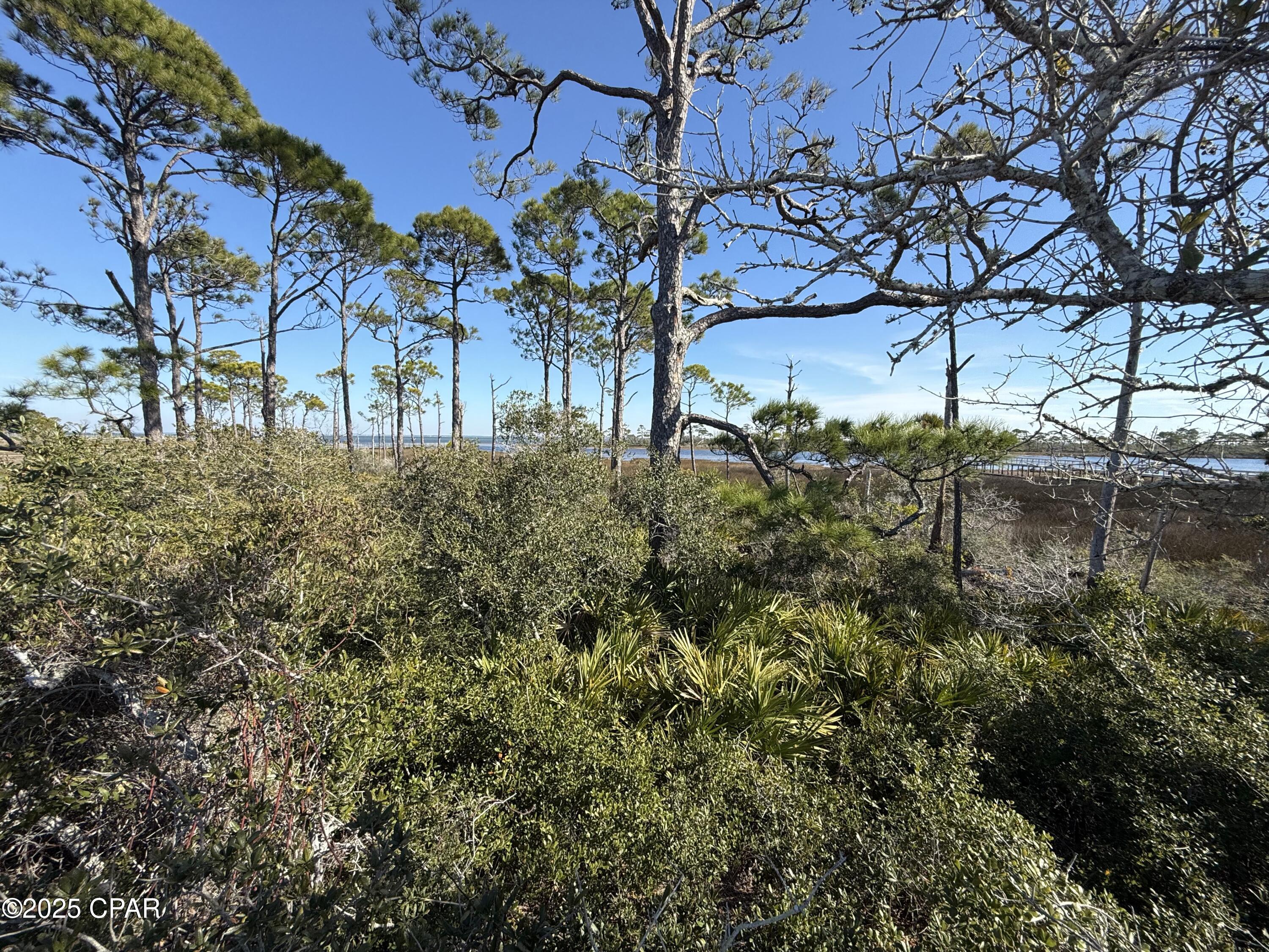 Image 8 For Tbd Cape San Blas Road