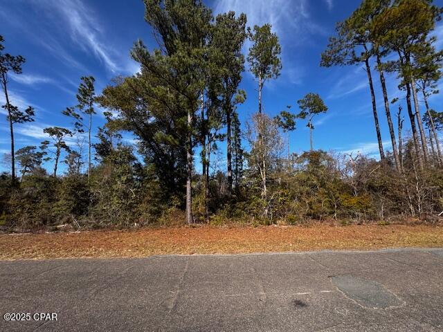 Details for Lot 7 Blk 204 Vancouver Drive, Alford, FL 32420