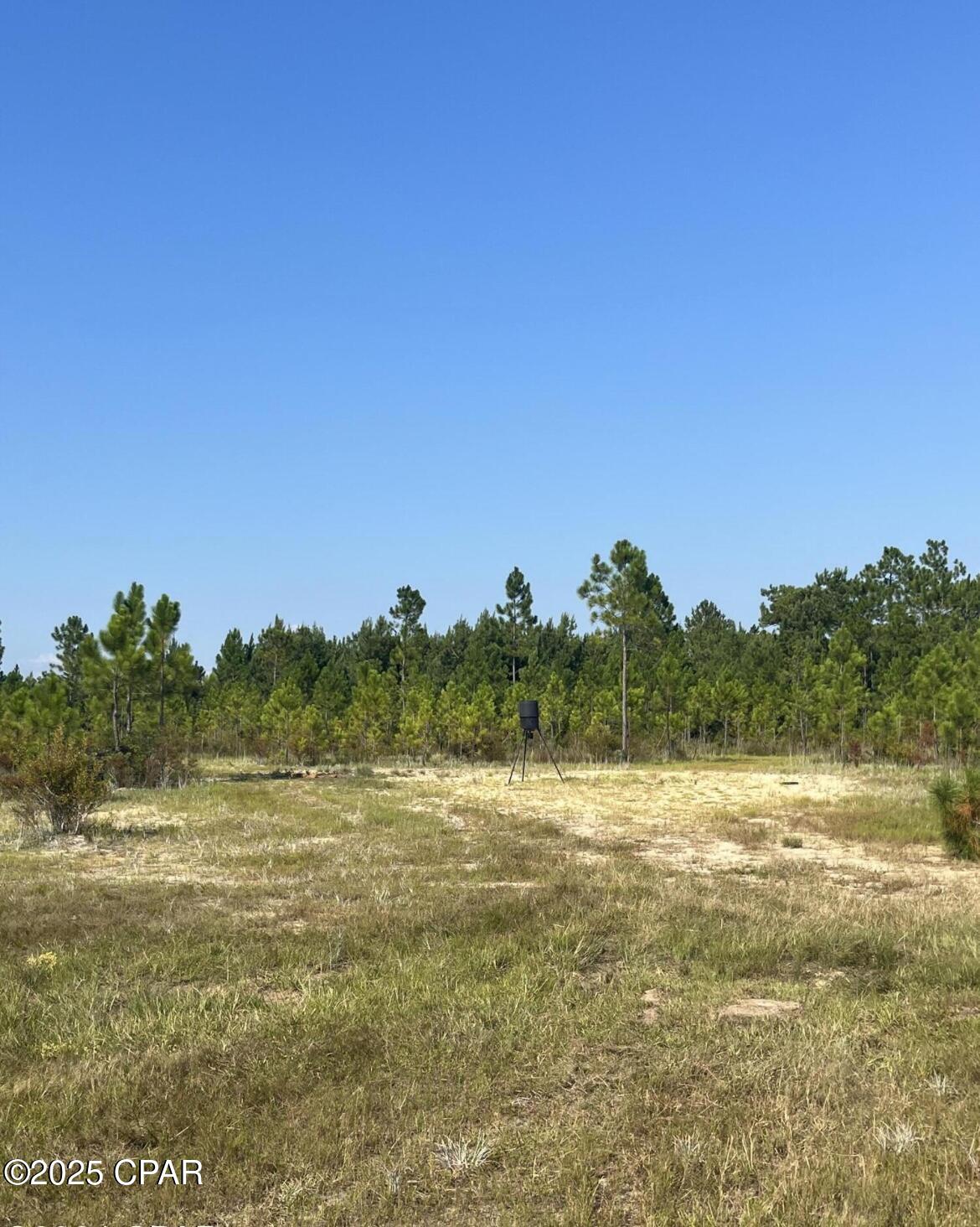0000 Windsong Road, Marianna, Florida image 14