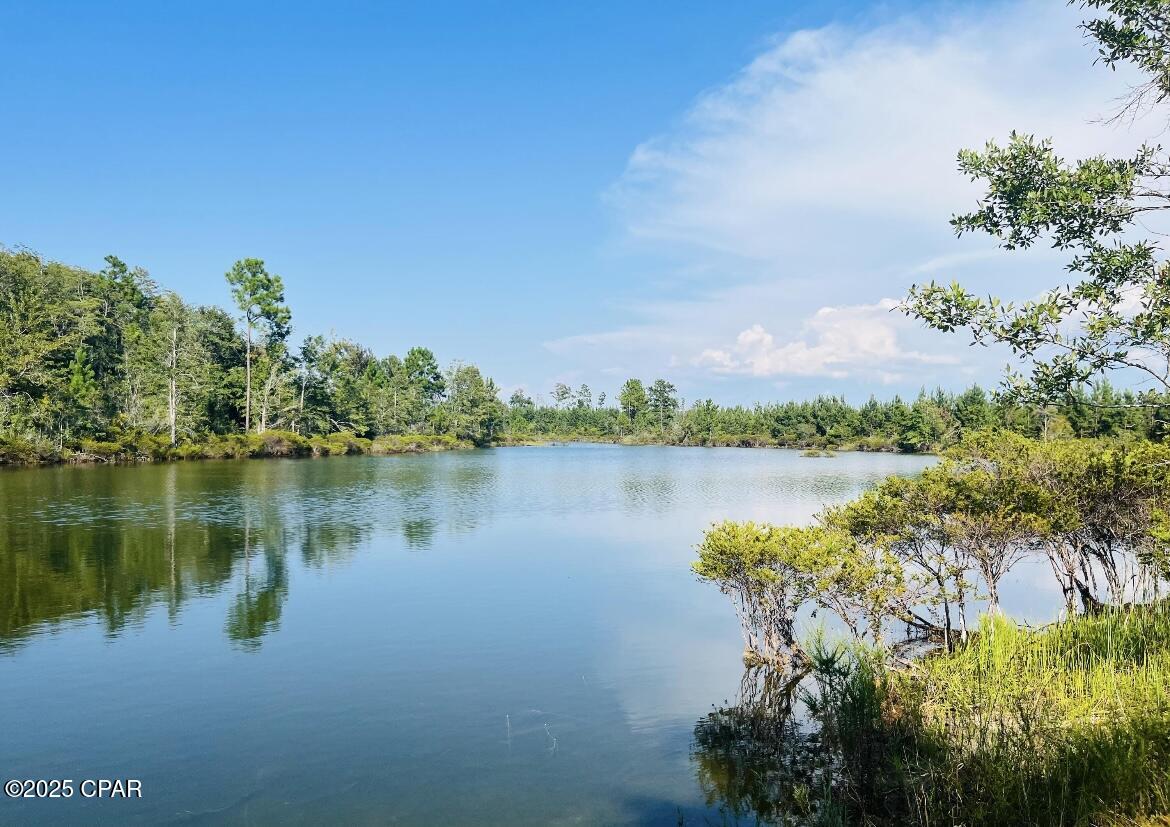 0000 Windsong Road, Marianna, Florida image 15