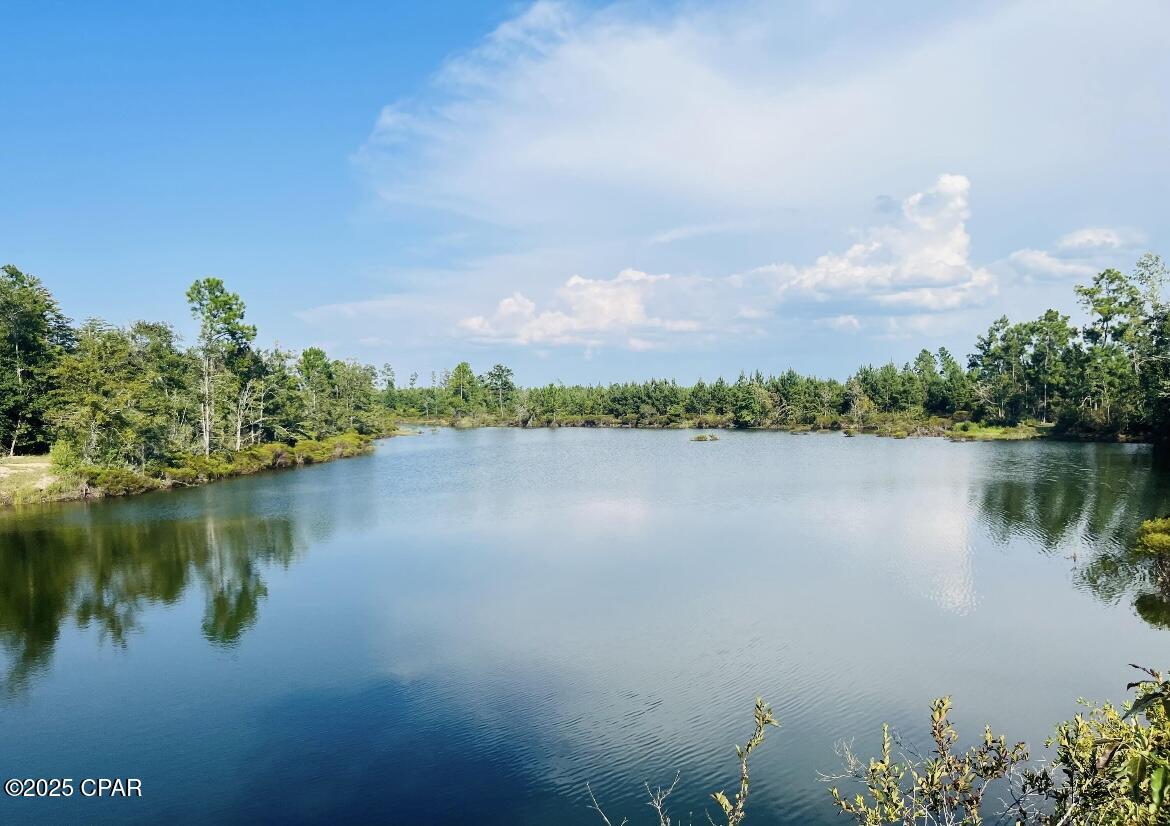 0000 Windsong Road, Marianna, Florida image 2