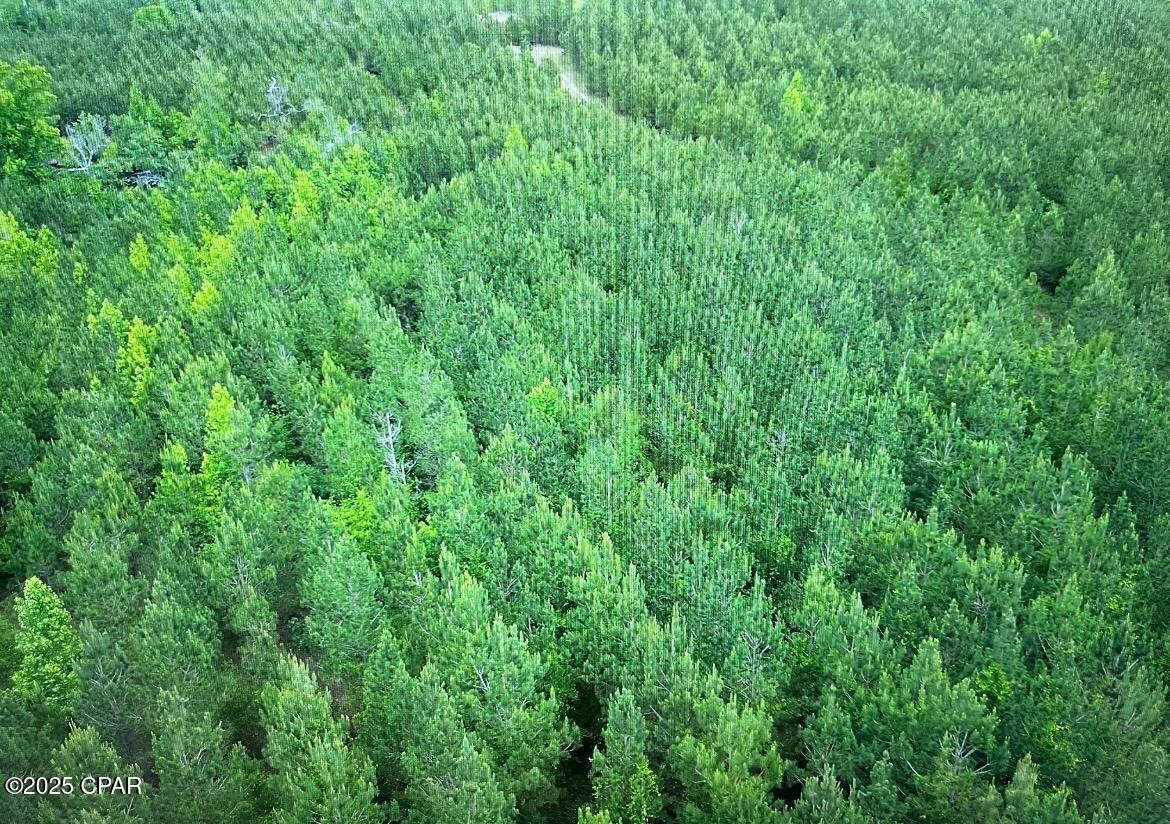 Listing photo id 9 for 0000 Windsong Road