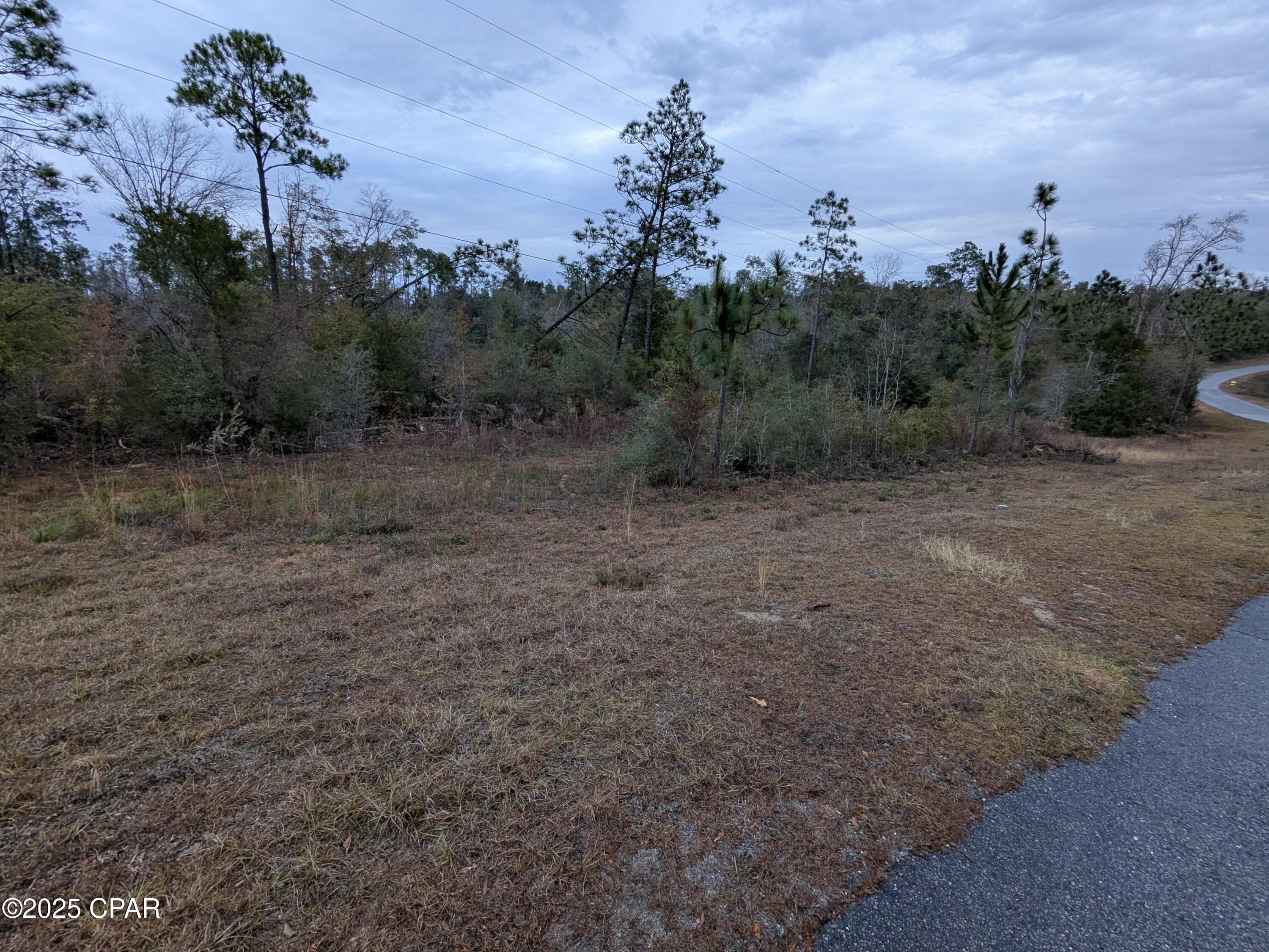 Compass Lake Drive, Alford, Florida image 4