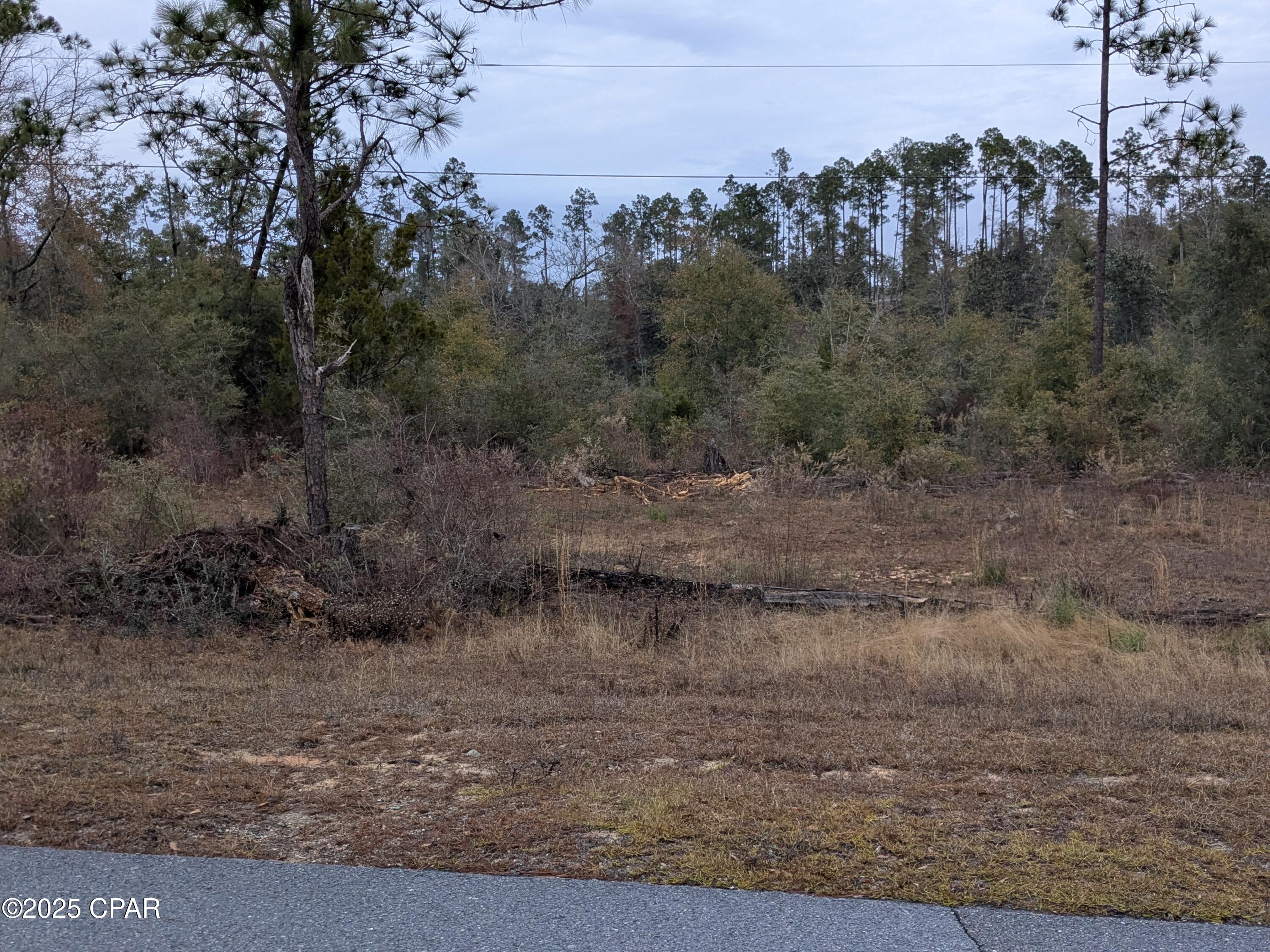 Compass Lake Drive, Alford, Florida image 8