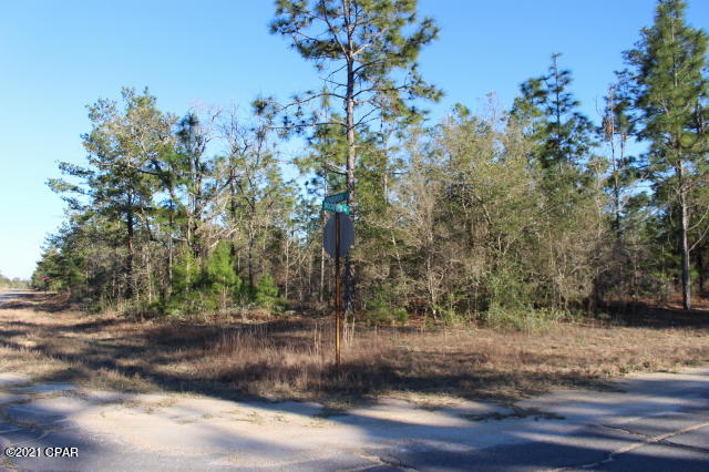 Photo of 0 Rockford Chipley FL 32428