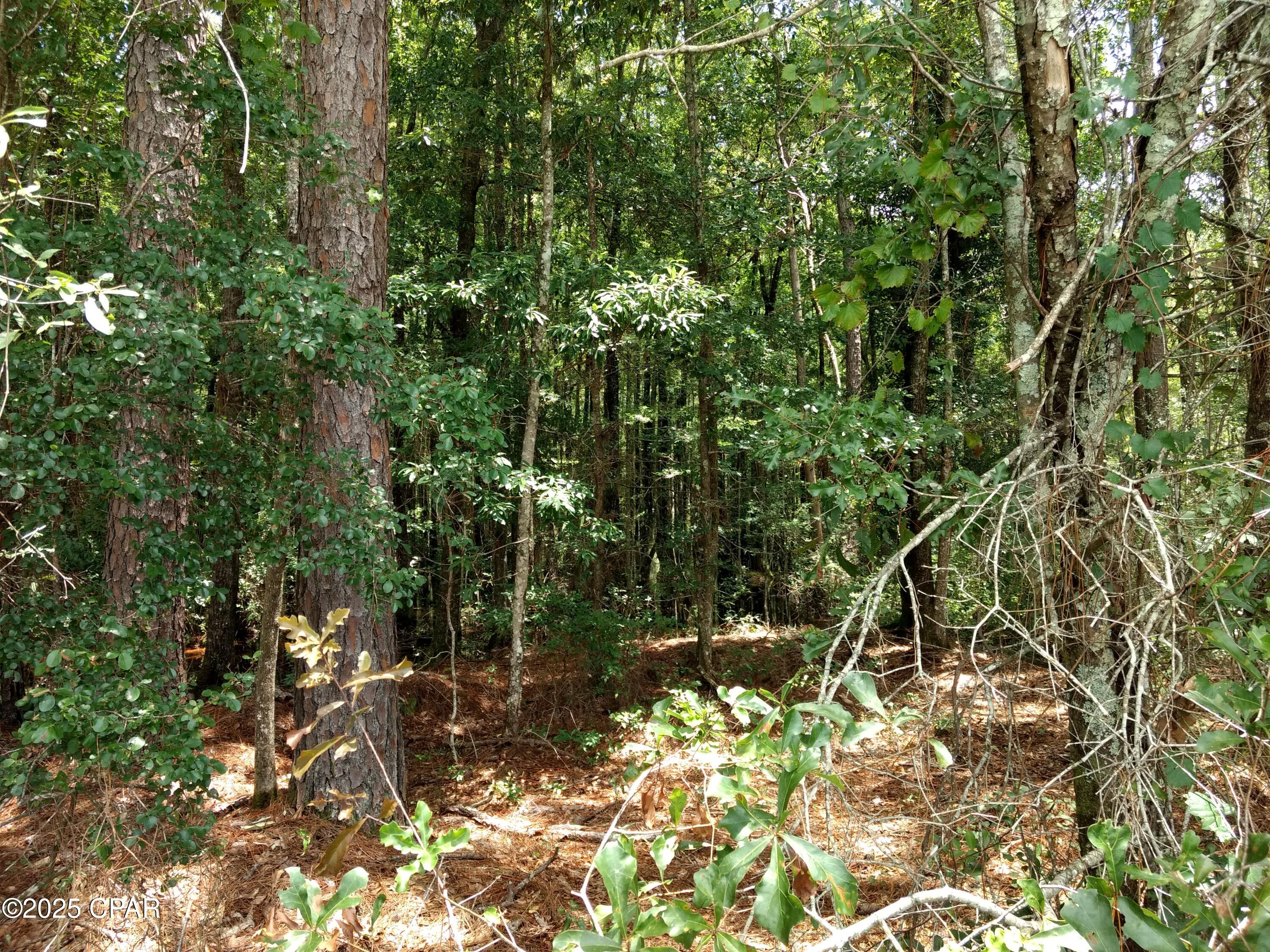 Details for Lot 29 Beach Drive, Westville, FL 32464