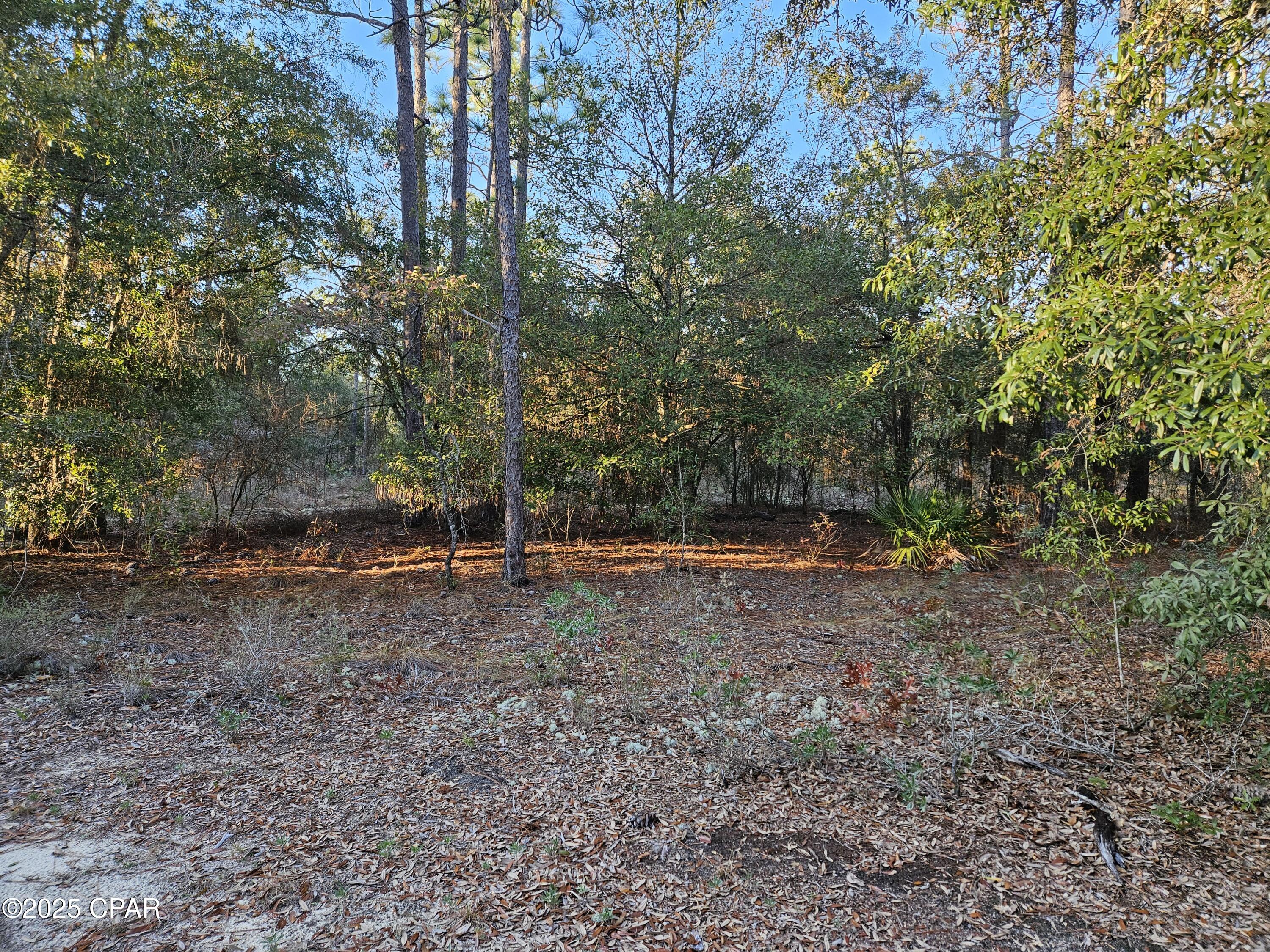 Photo of B-116 Antler Chipley FL 32428