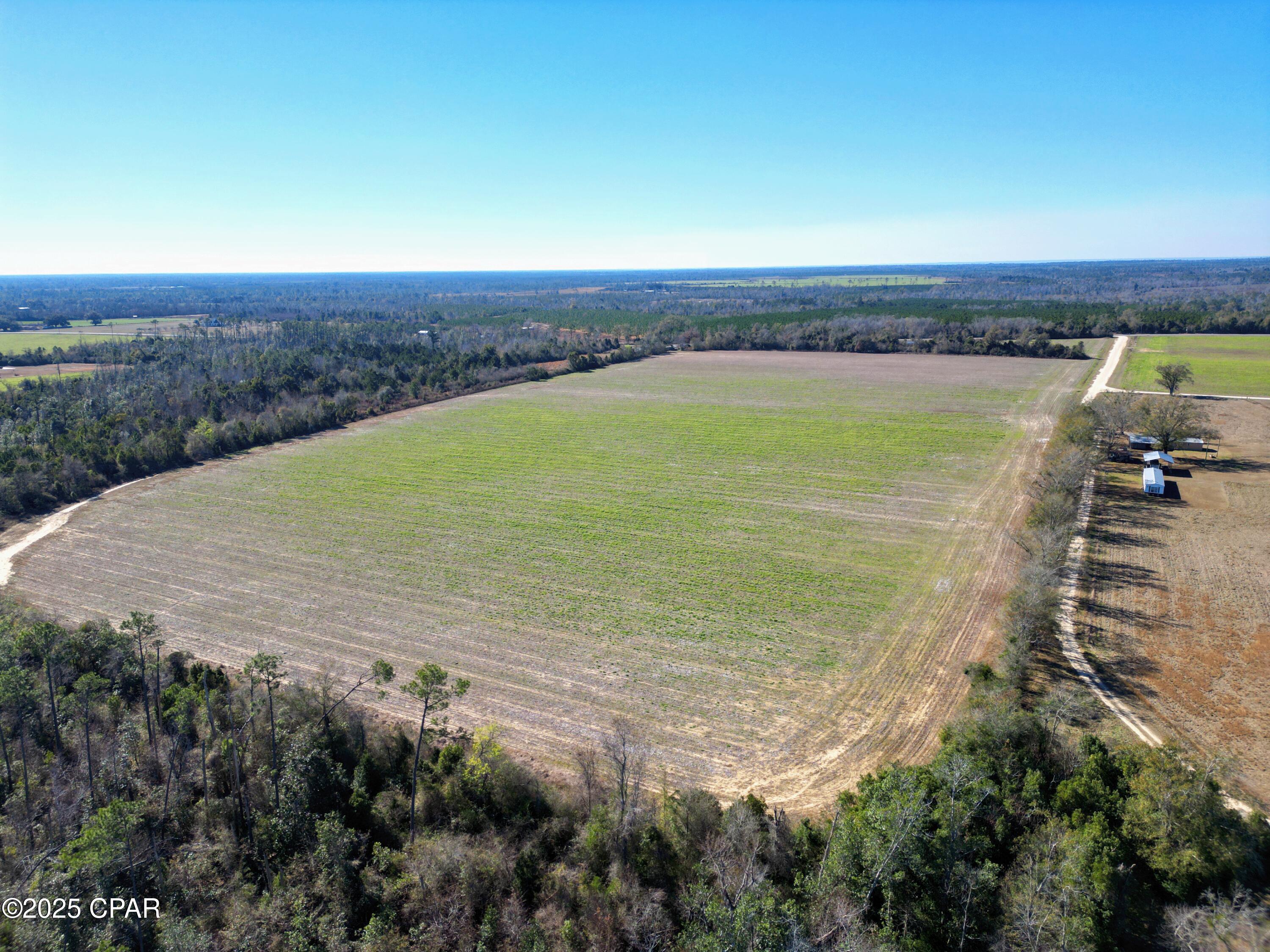 NE County Road 69a, Blountstown, Florida image 2