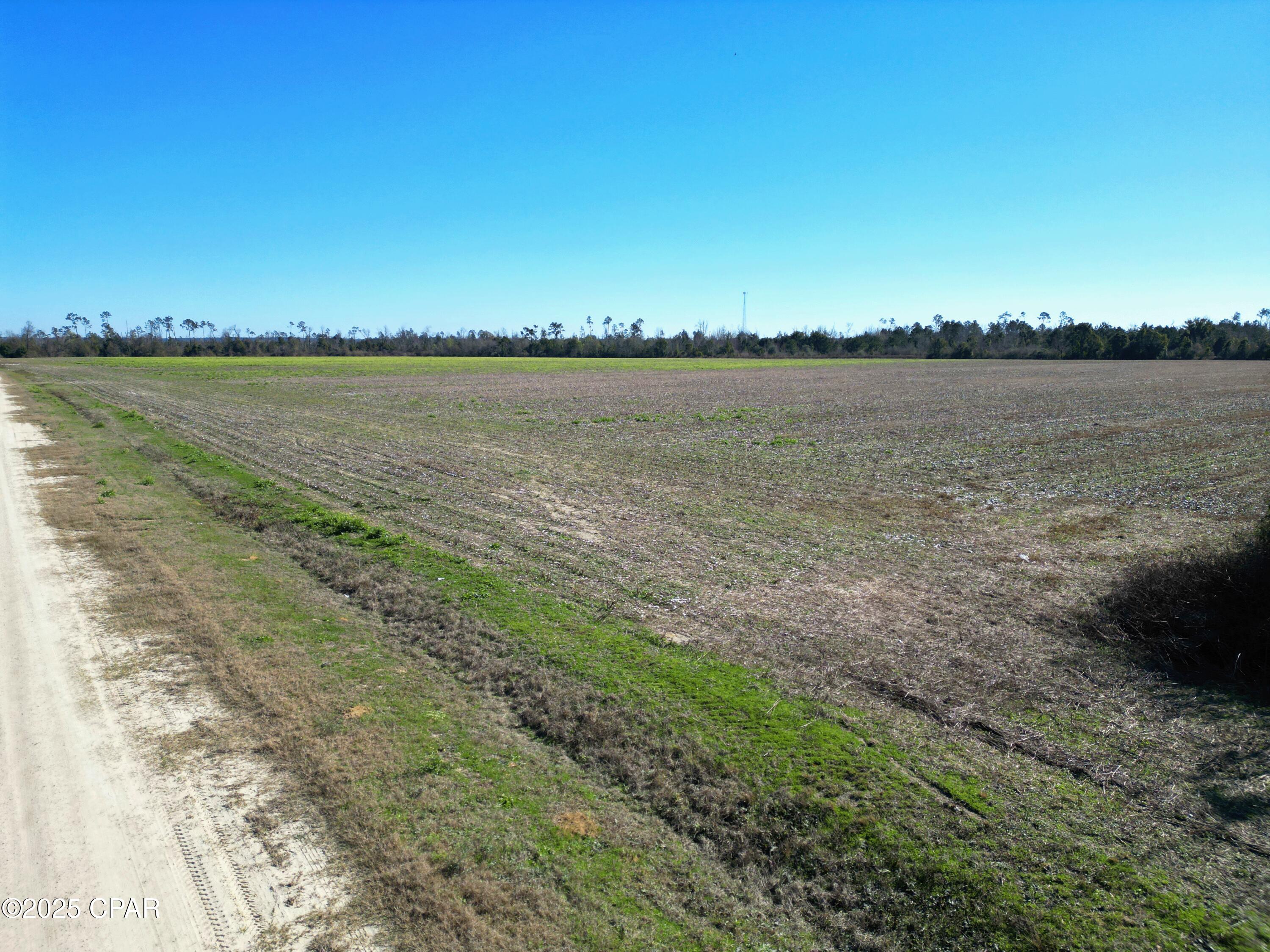 NE County Road 69a, Blountstown, Florida image 7