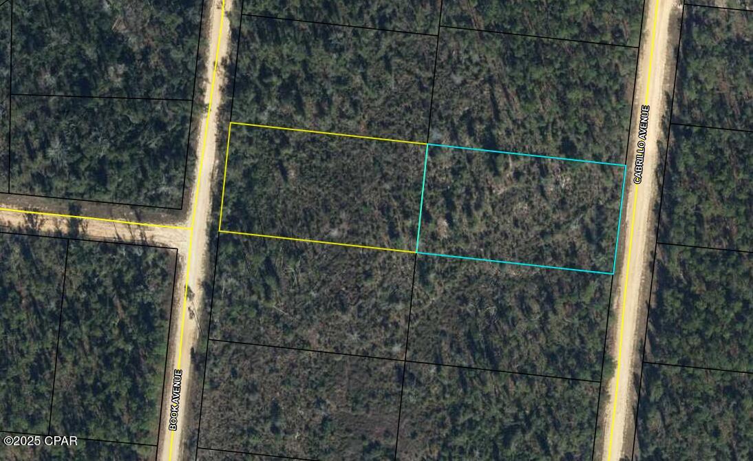Details for Lot 4 Book  , Alford, FL 32420