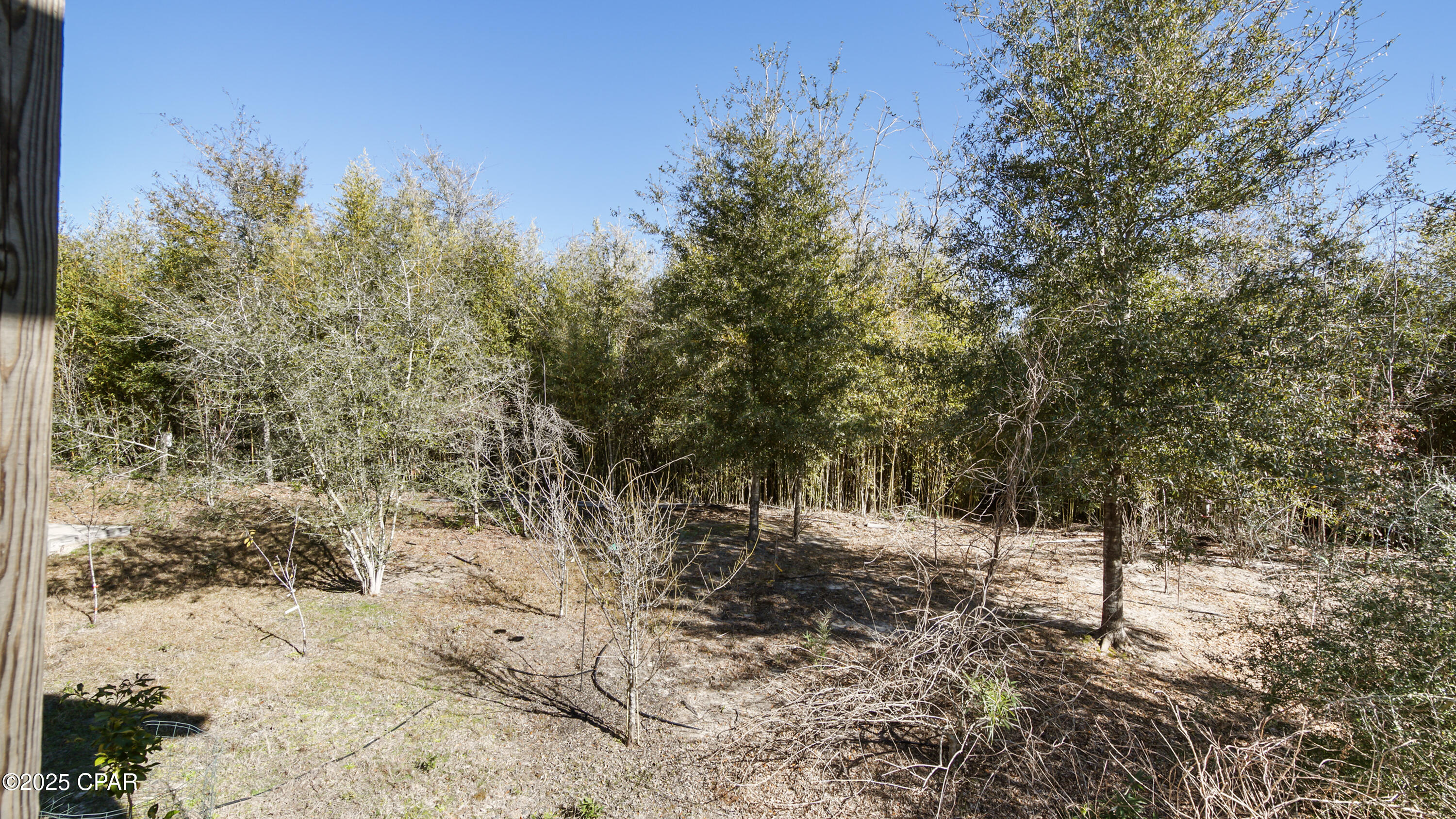 Image 44 For 2729 State Road 71