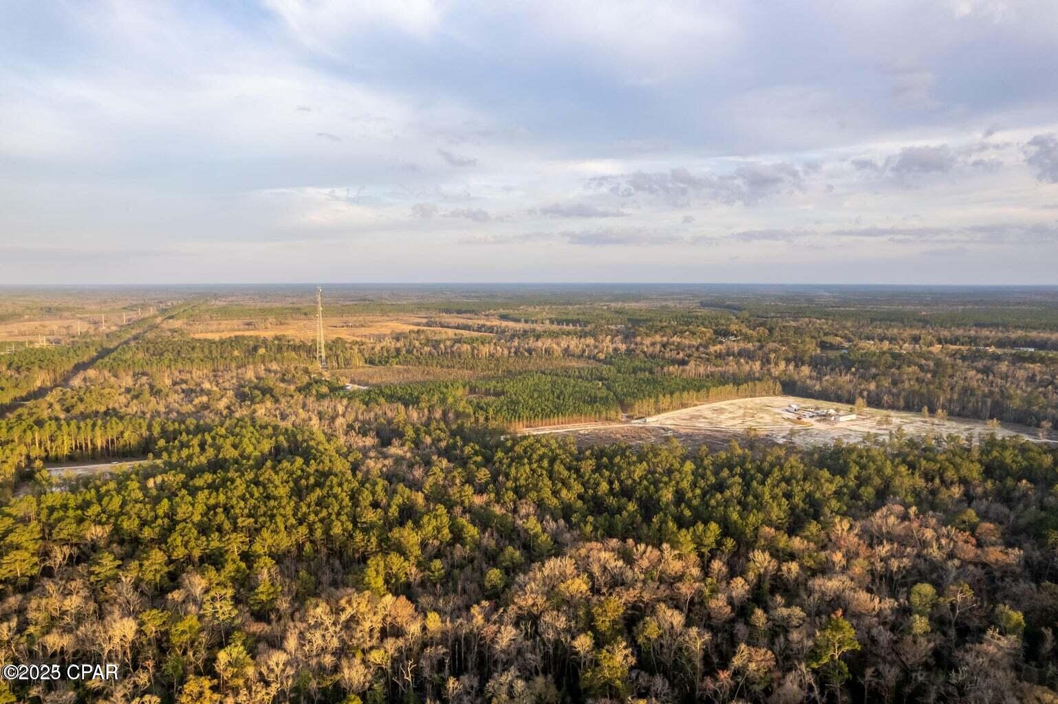 NE State Road 20, Hosford, Florida image 1