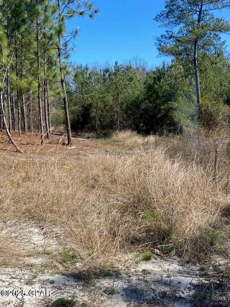 NE State Road 20, Hosford, Florida image 5