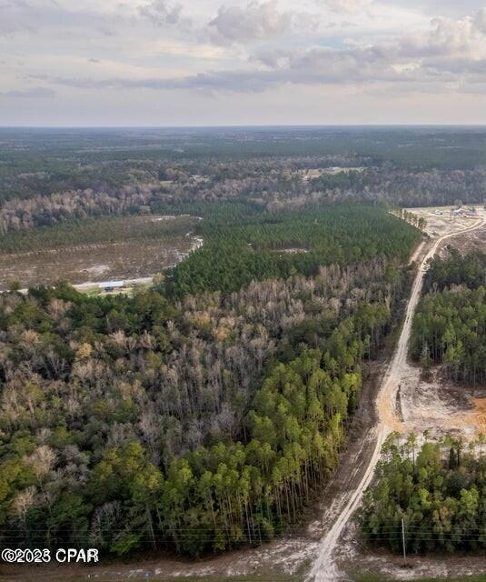 NE State Road 20, Hosford, Florida image 2