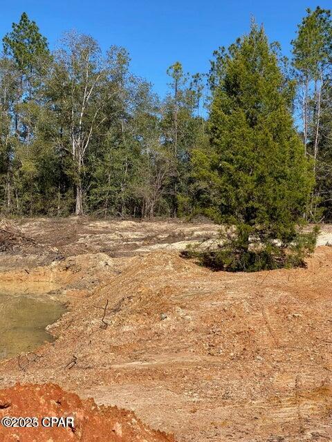 NE State Road 20, Hosford, Florida image 6