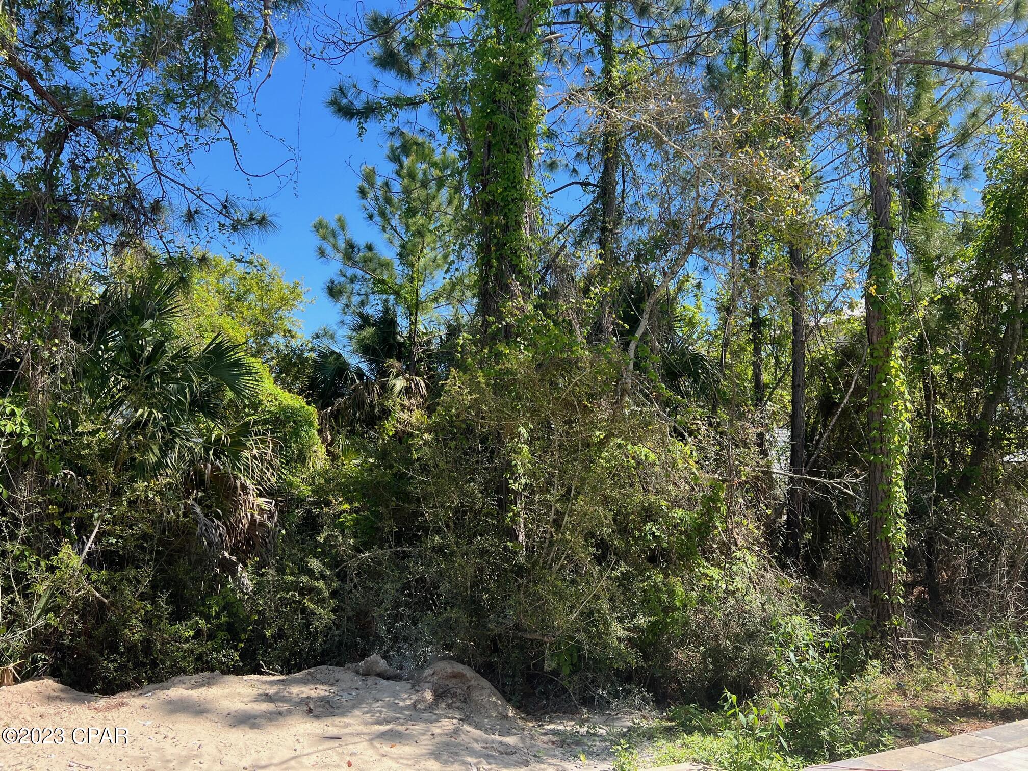 Image 9 For 109 Parkshore Drive