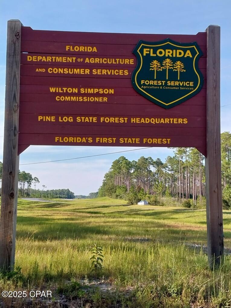 11413 Church Road, Ebro, Florida image 14