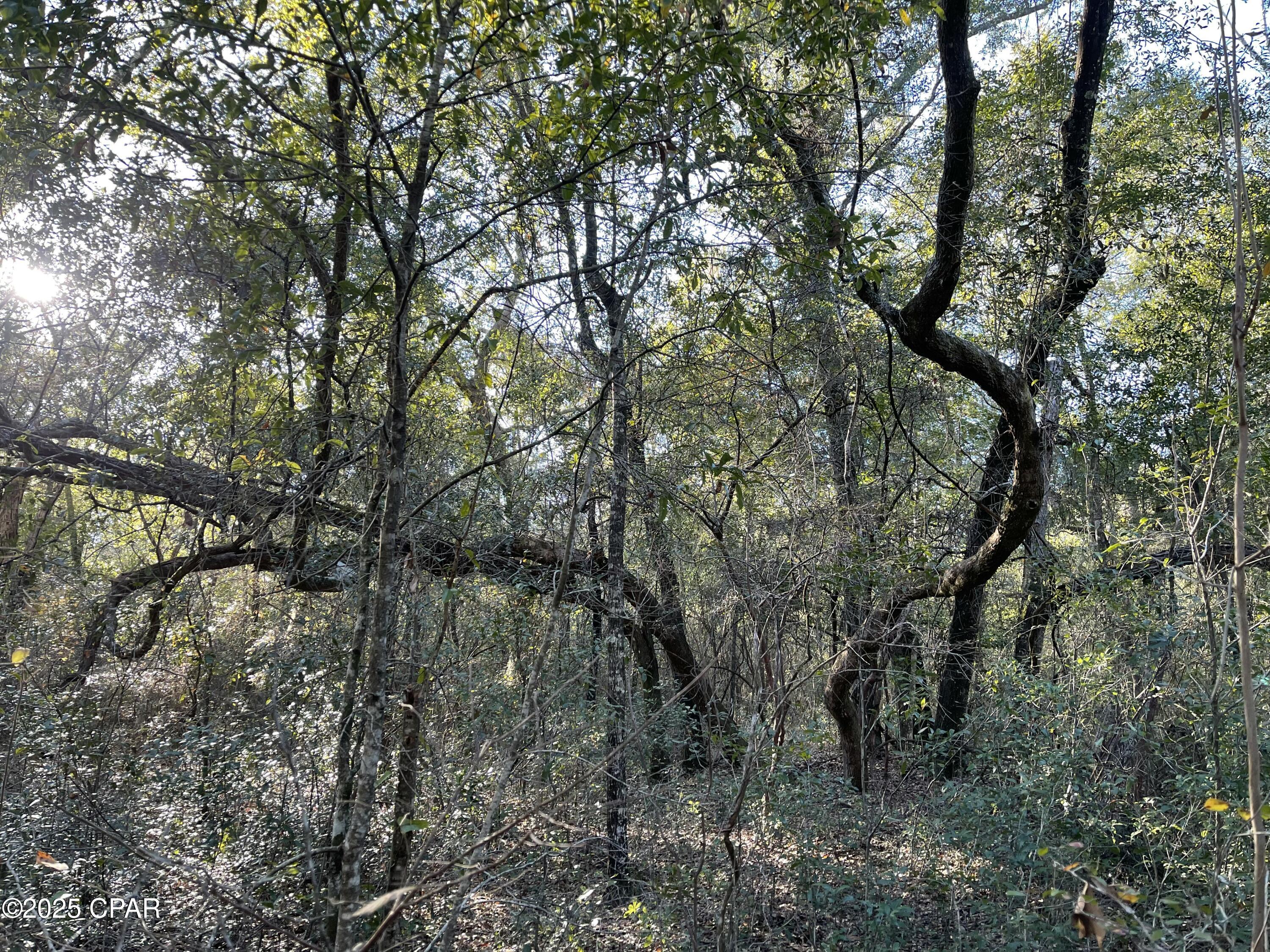 Image 16 For 0000 Bent Oaks Road