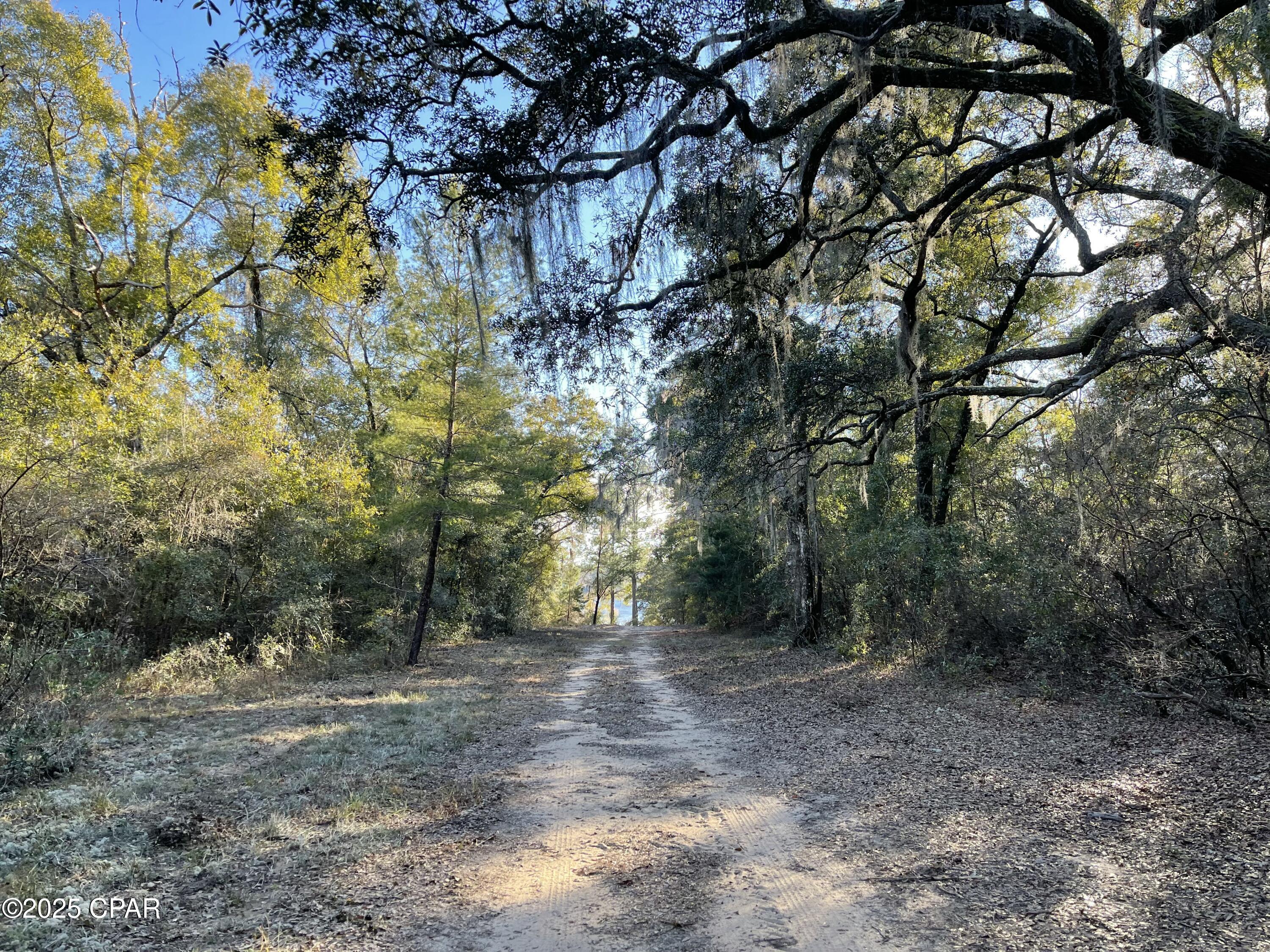 0000 Bent Oaks Road, Chipley, Florida image 21