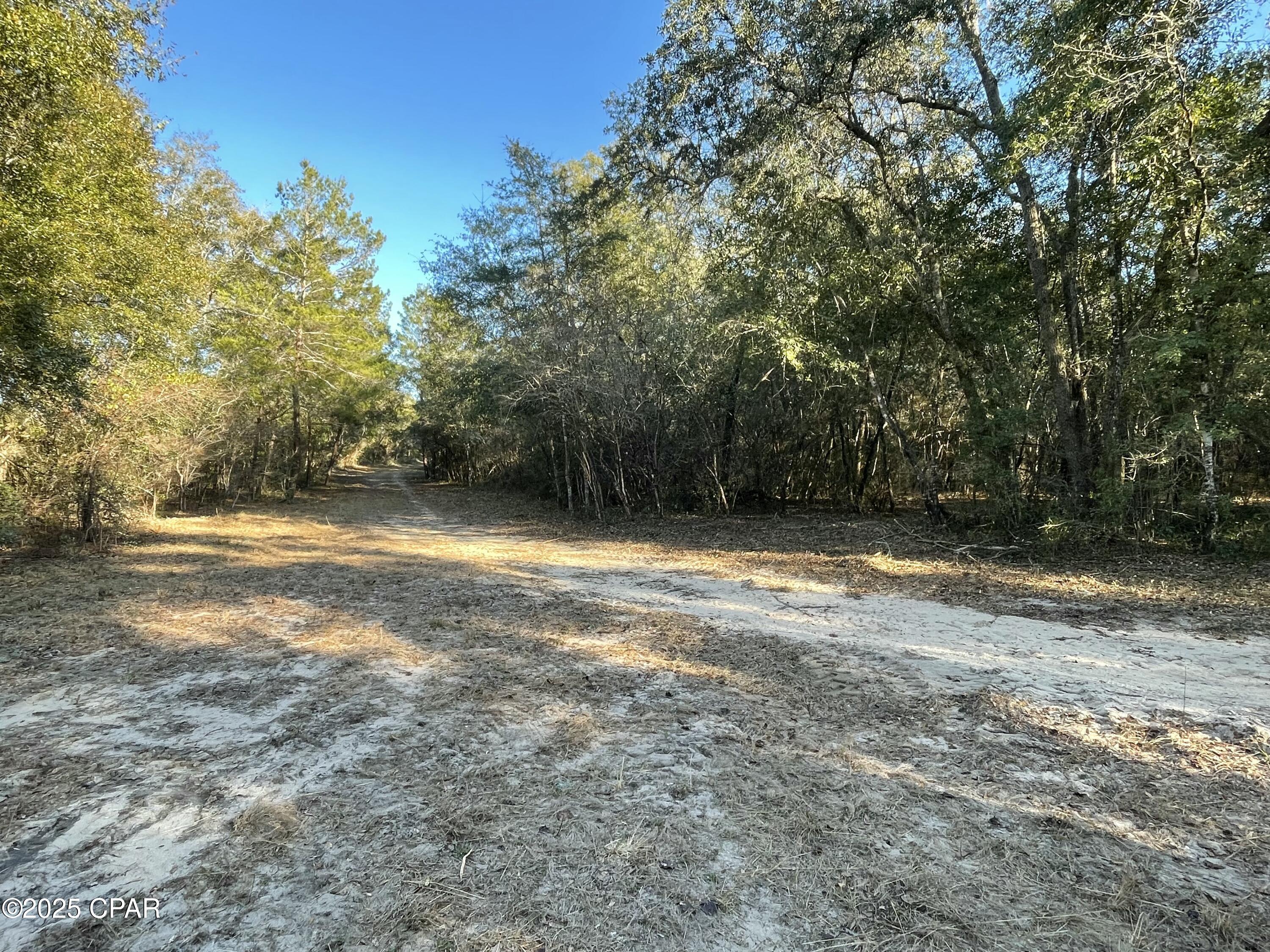 0000 Bent Oaks Road, Chipley, Florida image 4