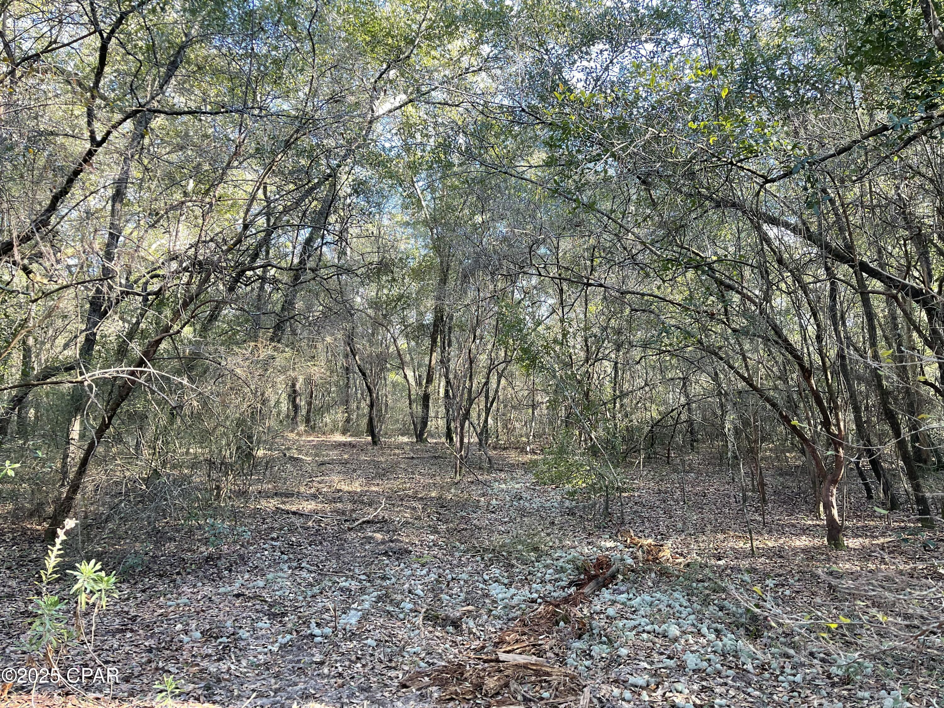 Image 6 For 0000 Bent Oaks Road
