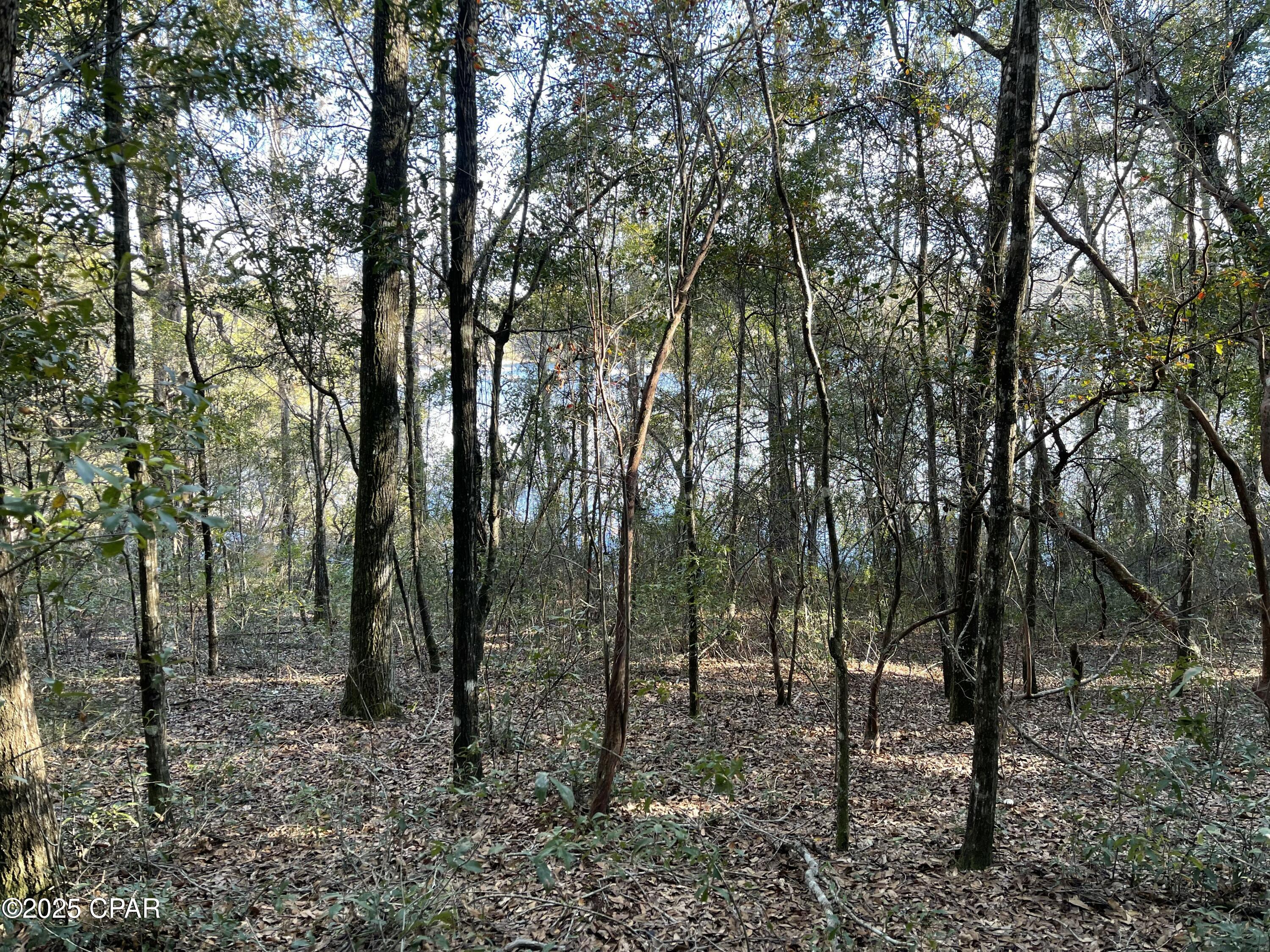 0000 Bent Oaks Road, Chipley, Florida image 8