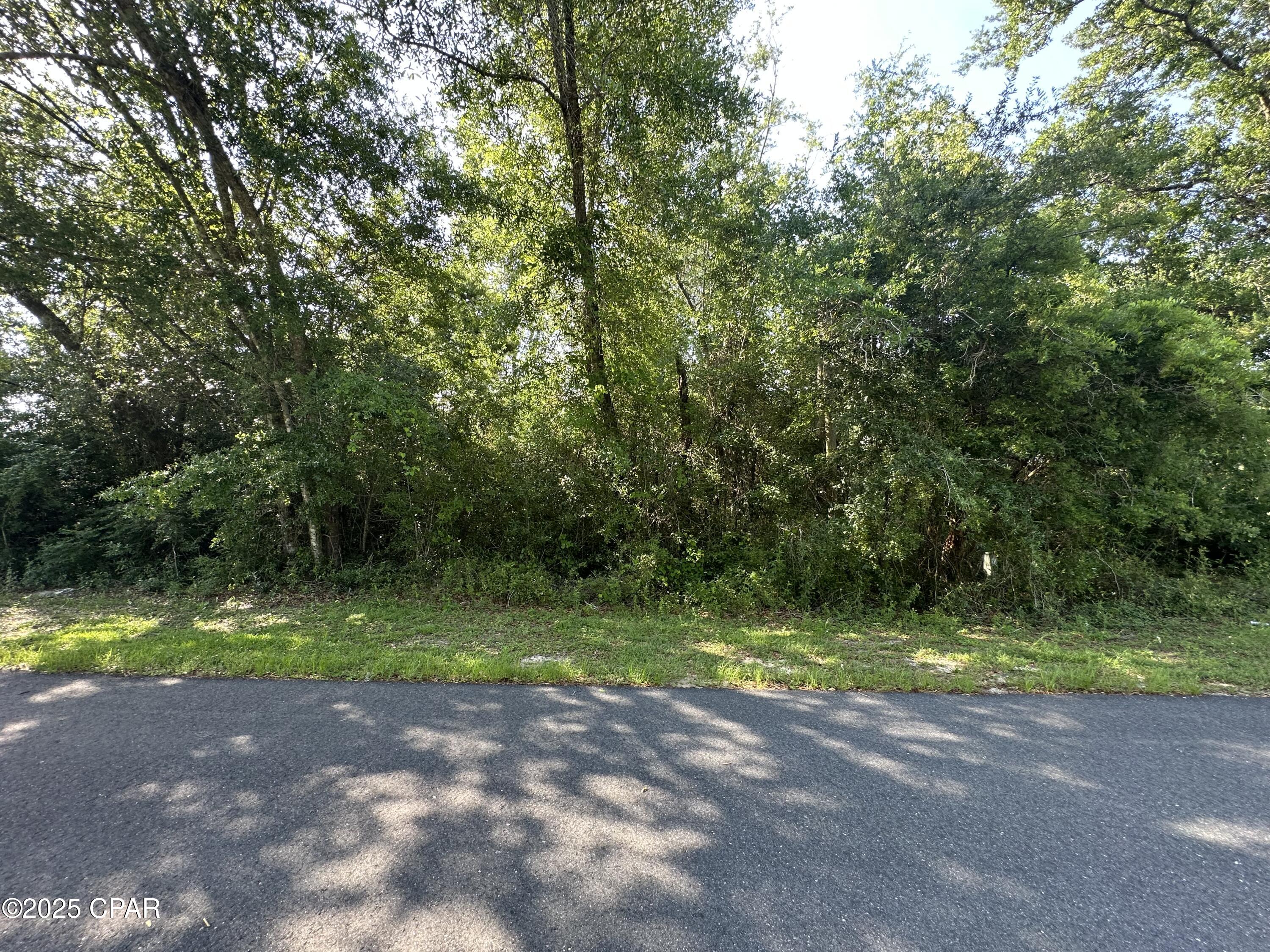 6009 Wedgewood Lane, Youngstown, Florida image 2