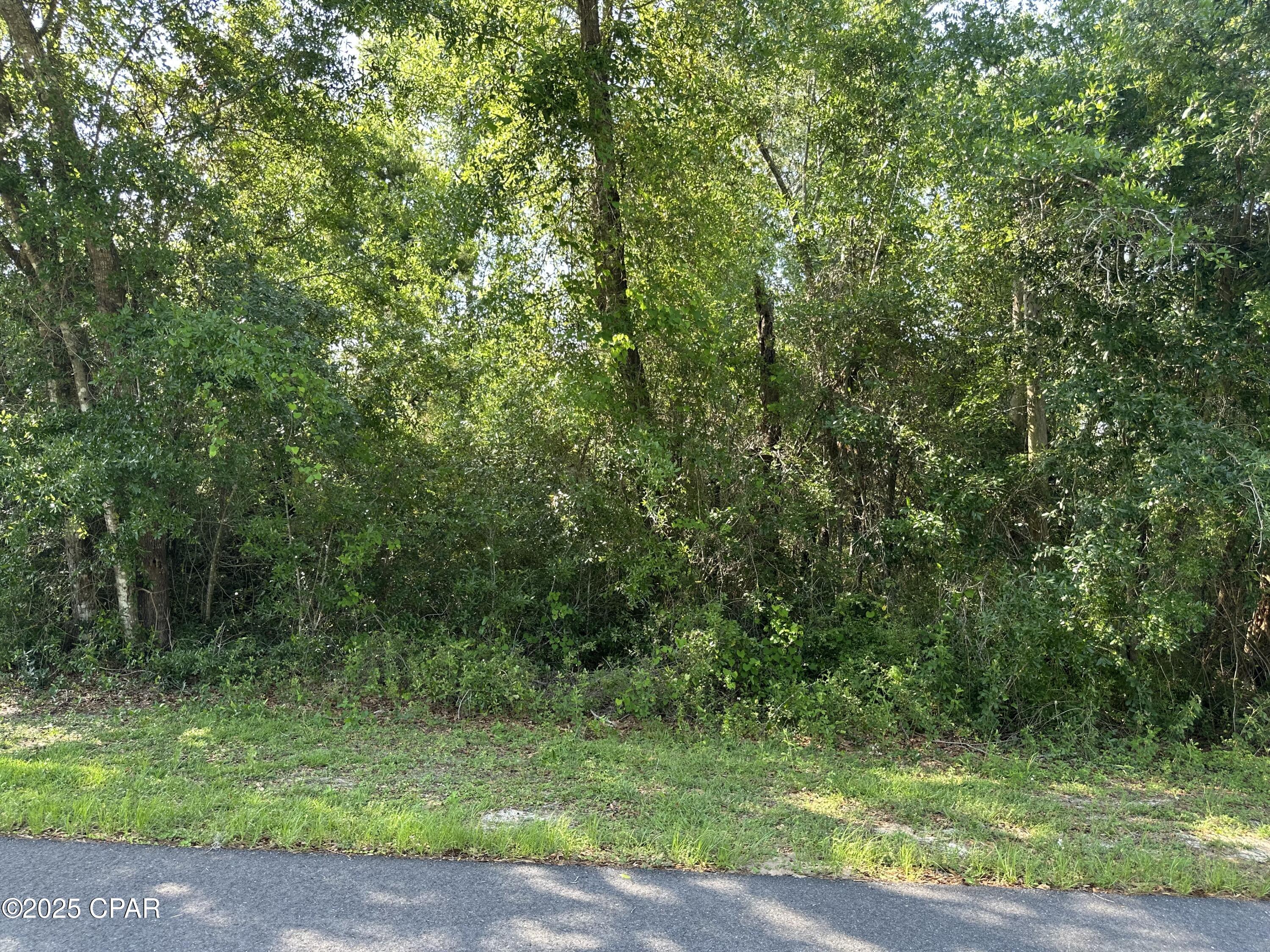 6009 Wedgewood Lane, Youngstown, Florida image 6