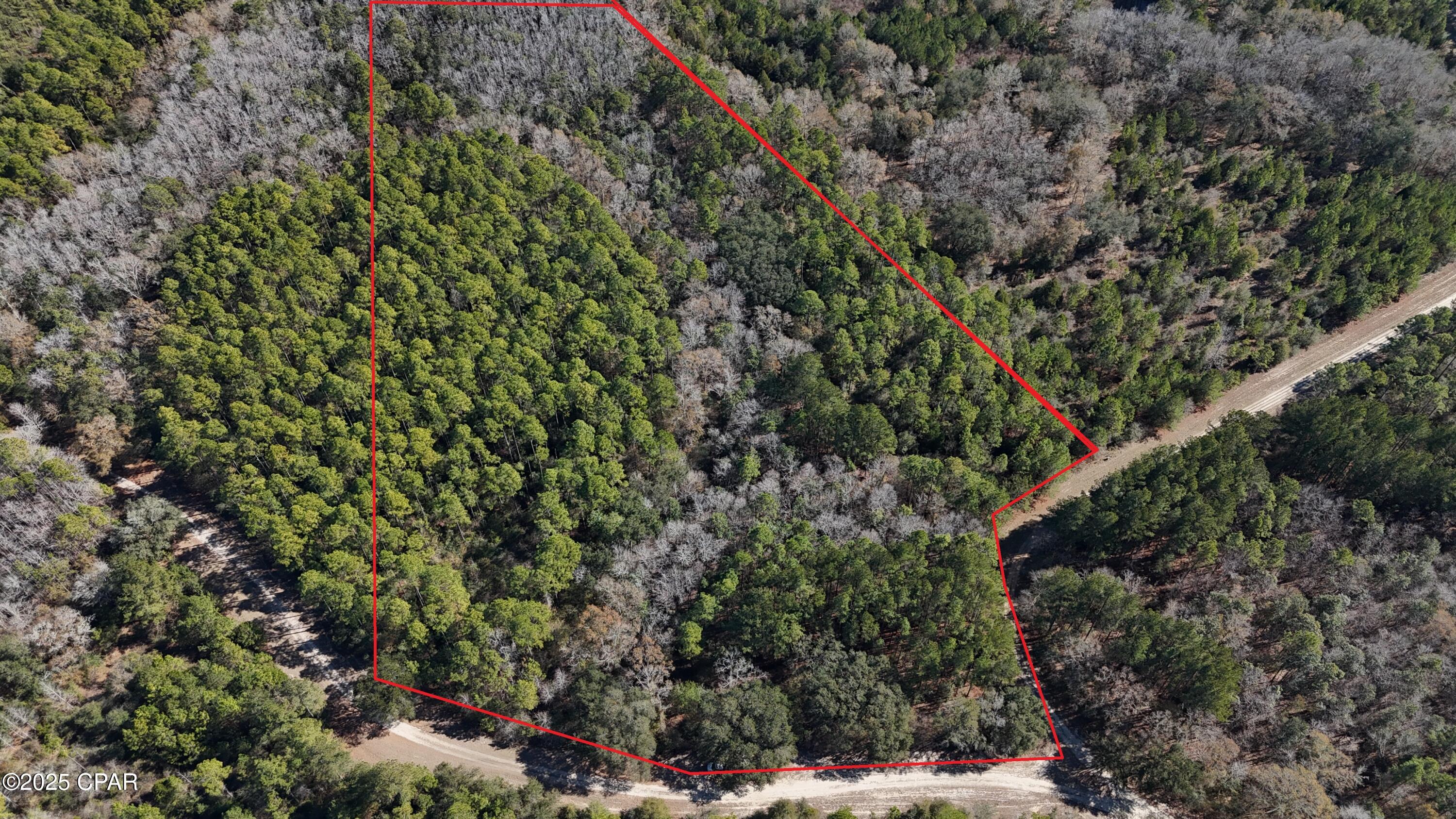 00 Canopy Oak Blvd, Bonifay, Florida image 1