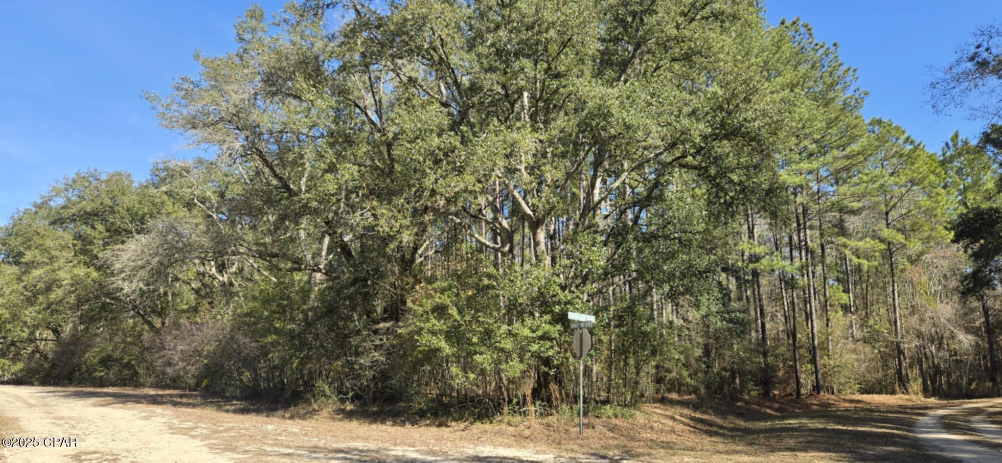 00 Canopy Oak Blvd, Bonifay, Florida image 11