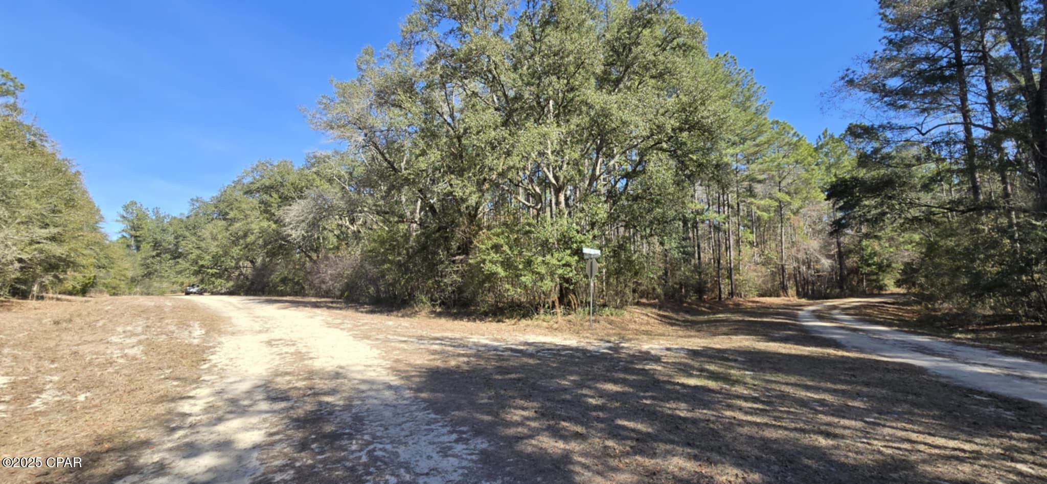 00 Canopy Oak Blvd, Bonifay, Florida image 13