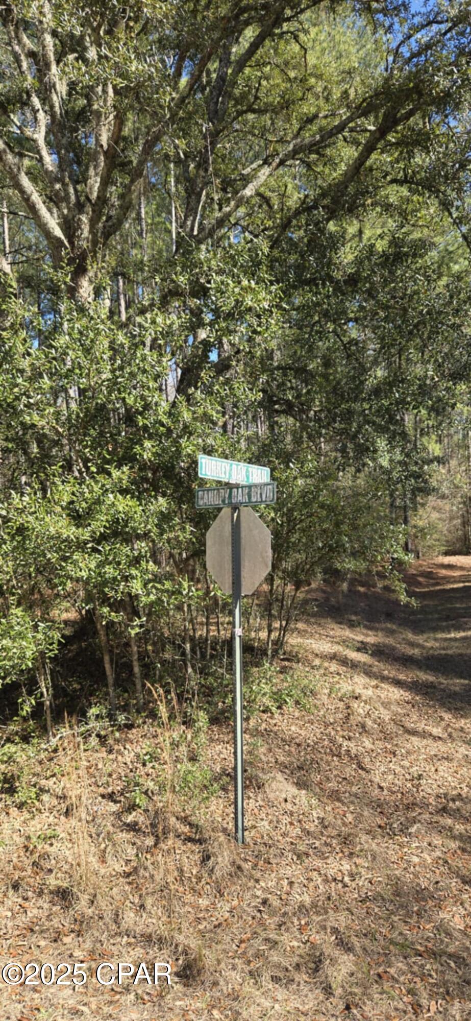 00 Canopy Oak Blvd, Bonifay, Florida image 14