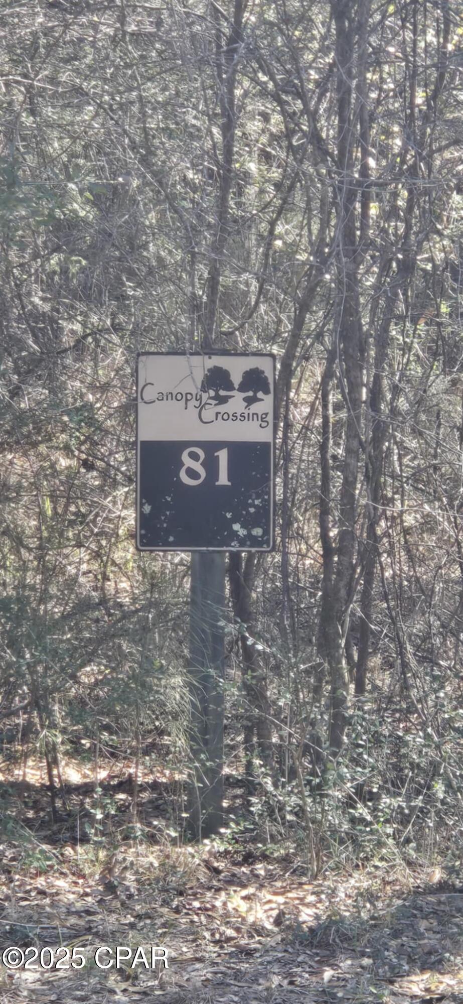 00 Canopy Oak Blvd, Bonifay, Florida image 3